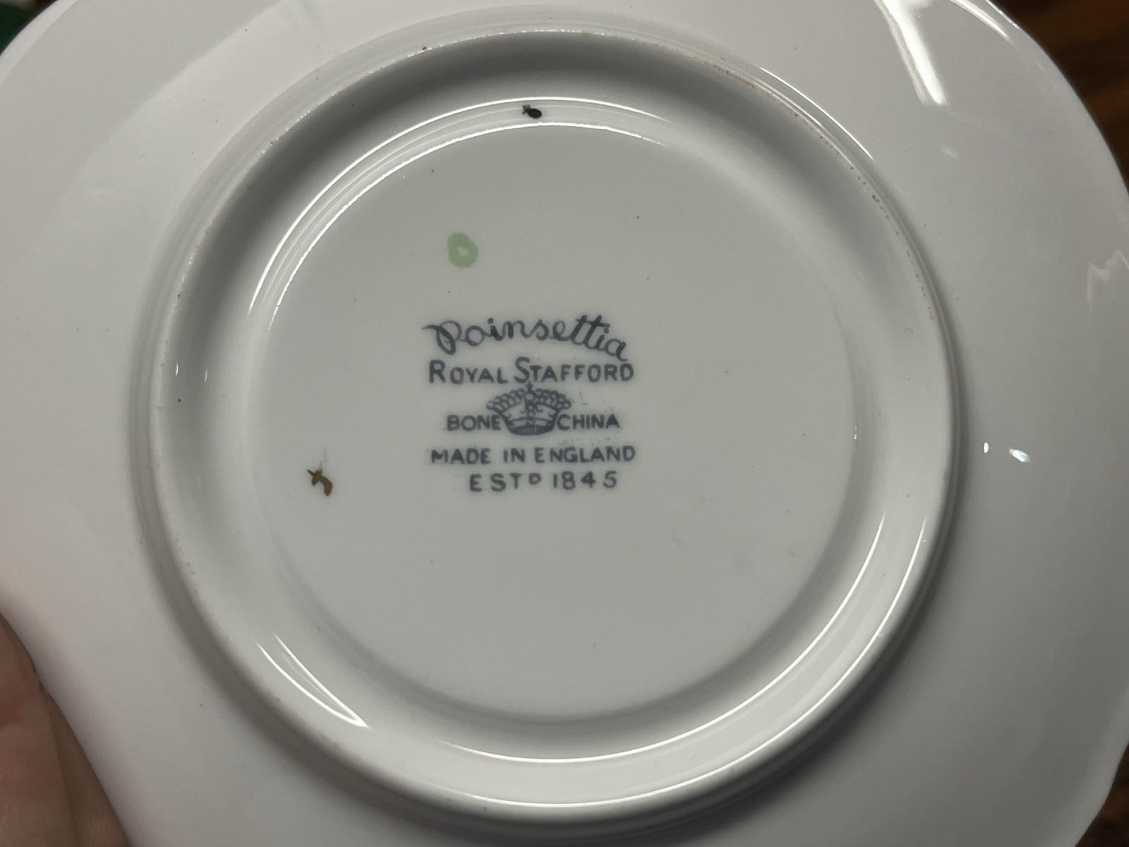 Vintage Royal Stafford Poinsettia Tea Cup & Saucer Gold Trim Scalloped England