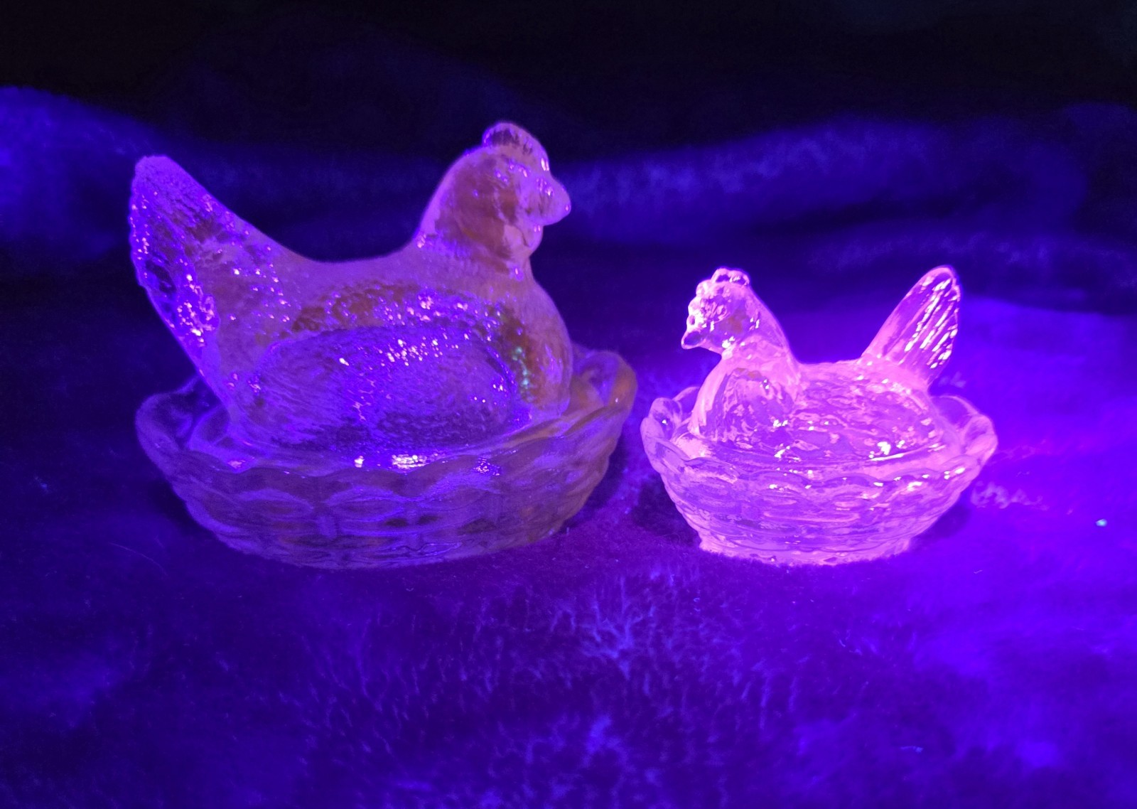 Mosser Glass~ NEW~Hen On Nest Salt Cellar & Trinket Dish~ TEAL Glass~GLOWS
