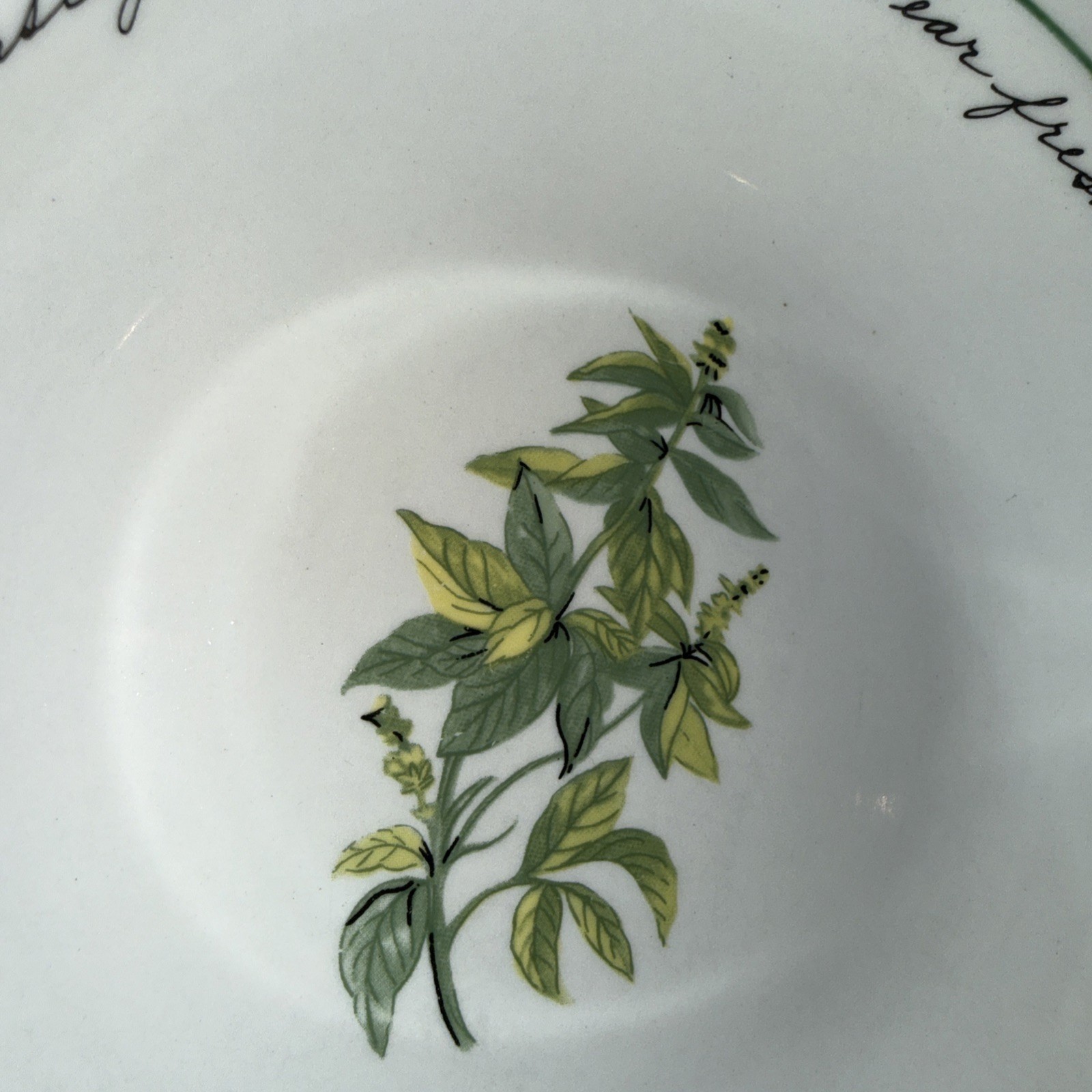 Gibson Herb Gardens Bowl Set: 4 bowls 7.25in and 1 bowl 10in Recipe Script Rim