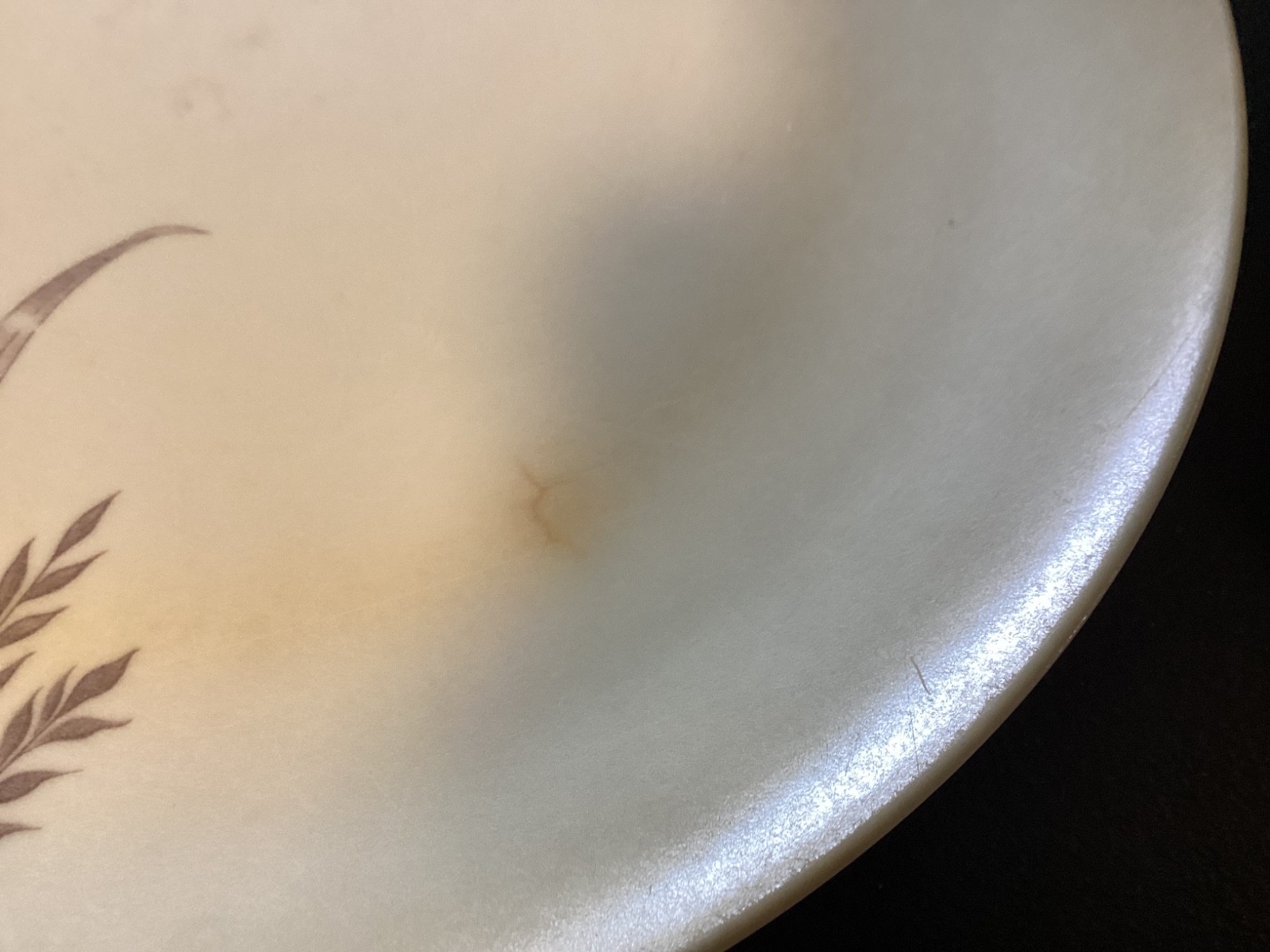Set of (4) Wheat Pattern Plastic “Somerset” 9 7/8” Dinner Plates
