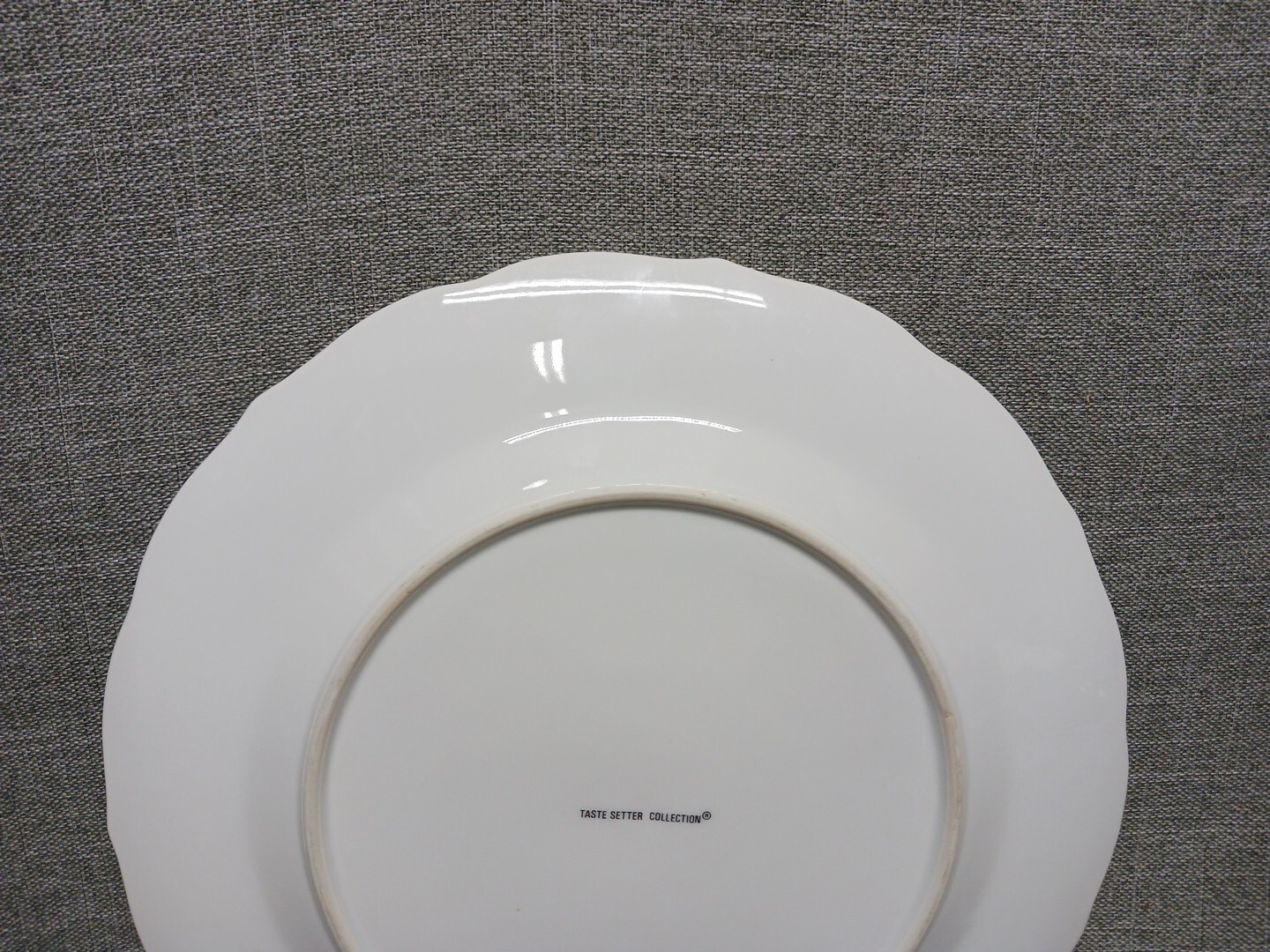 Taste Setter Collection Imperial Vine 10 3/8” Dinner Plate Vines Insects