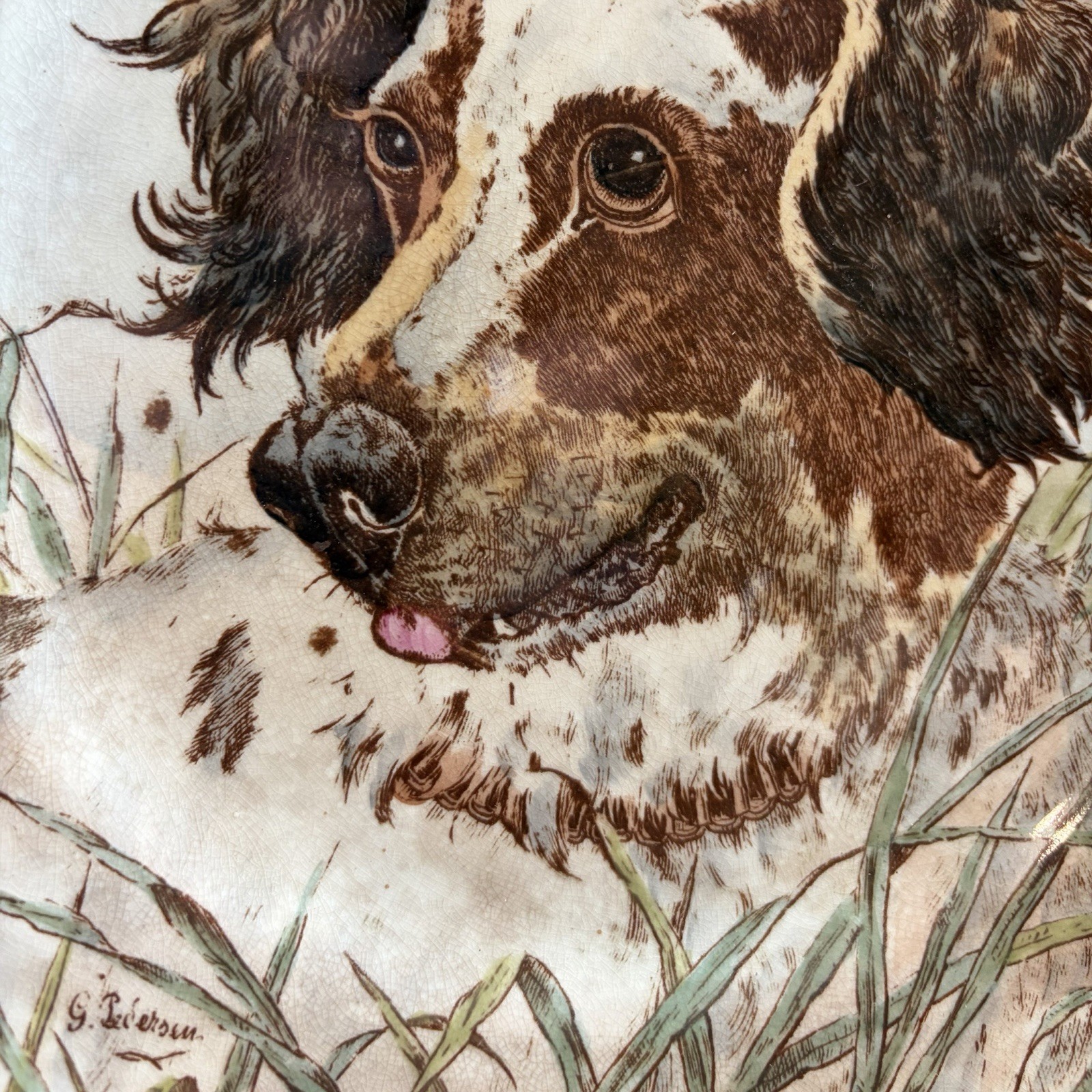 Antique 1905 Cauldon England Dog Cabinet Plates Mastiff Setter G Pedersen Signed