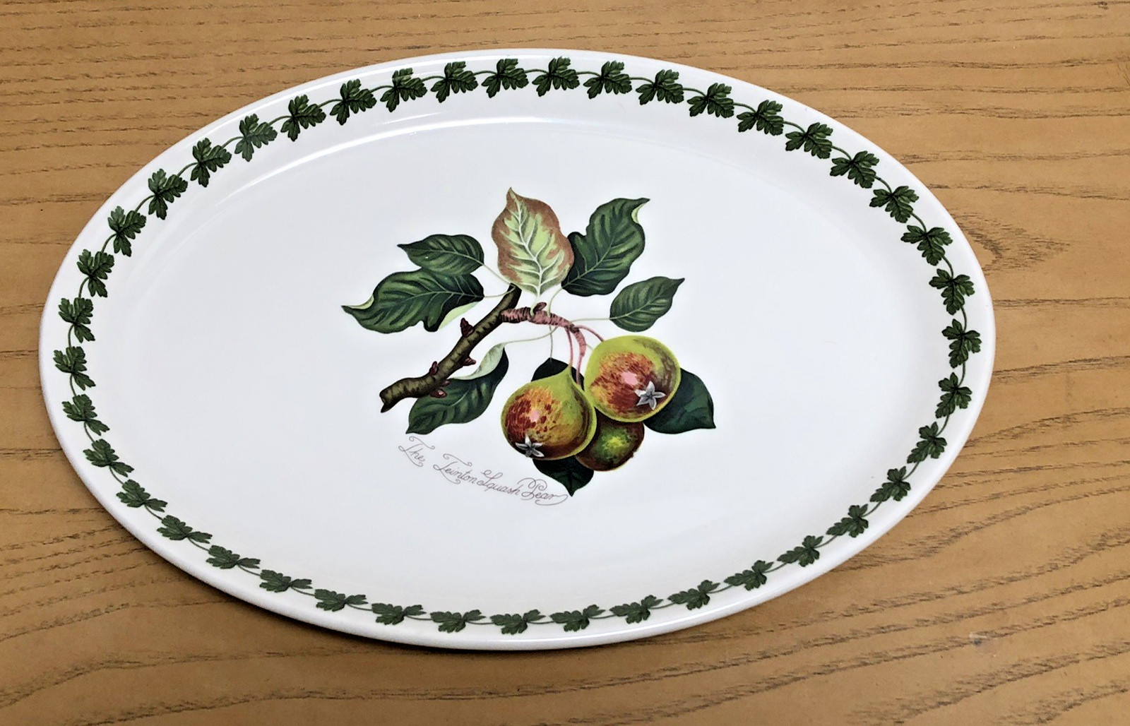 PORTMEIRION fire & ice pomona The Teinton SQUASH PEAR 9 x 13 Oval Steak Platter