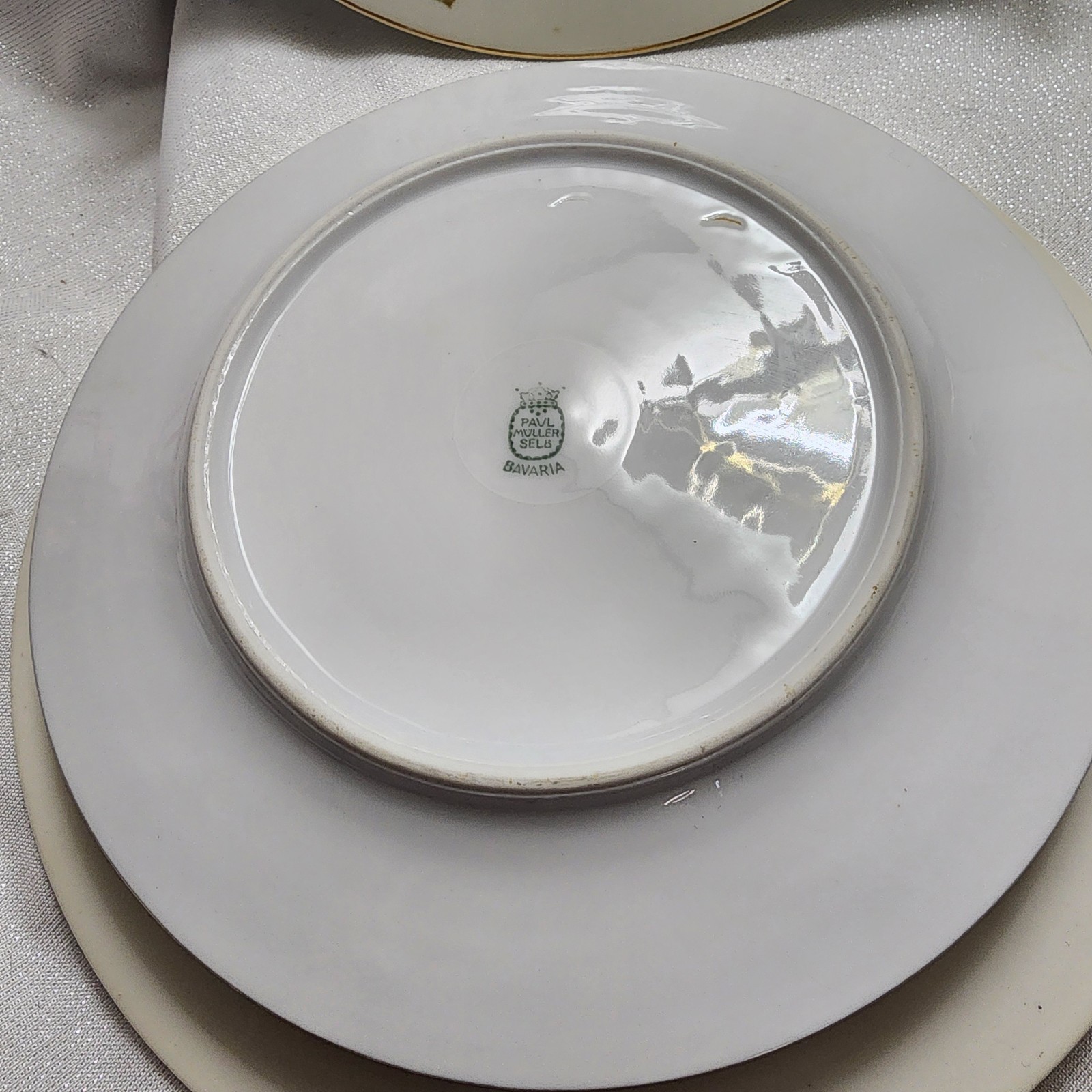 Mixed Roses TK Thun Bohemia & Paul Muller Selb Bavaria Dinner Salad Plates Roses