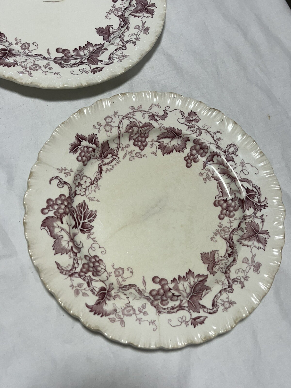 Wedgwood Old Vine Of Etruria & Barlaston 2 Salad Plates 8 1/8in Made In England