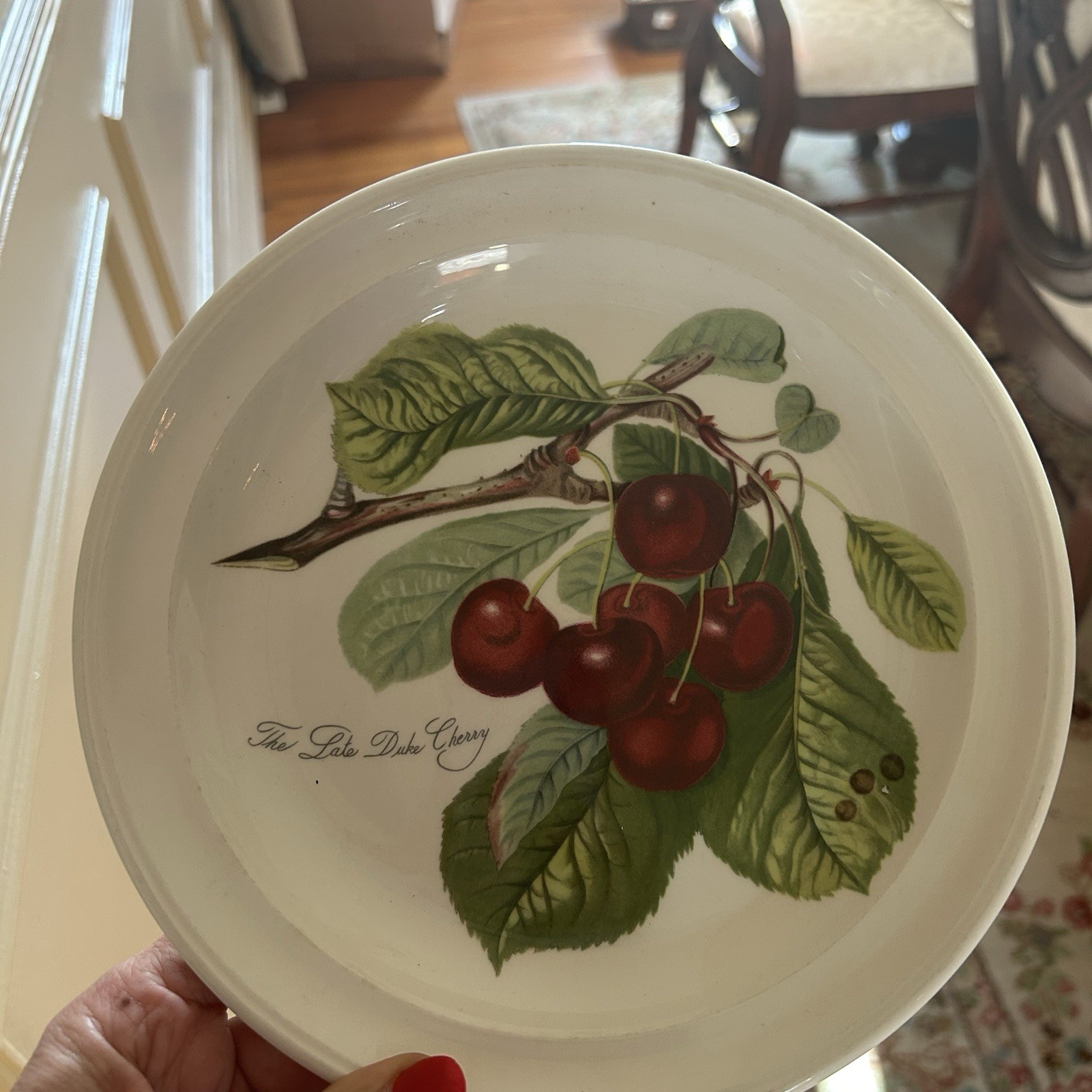 Portmierion Pomona Late Duke Cherry Salad Plate 8.5”