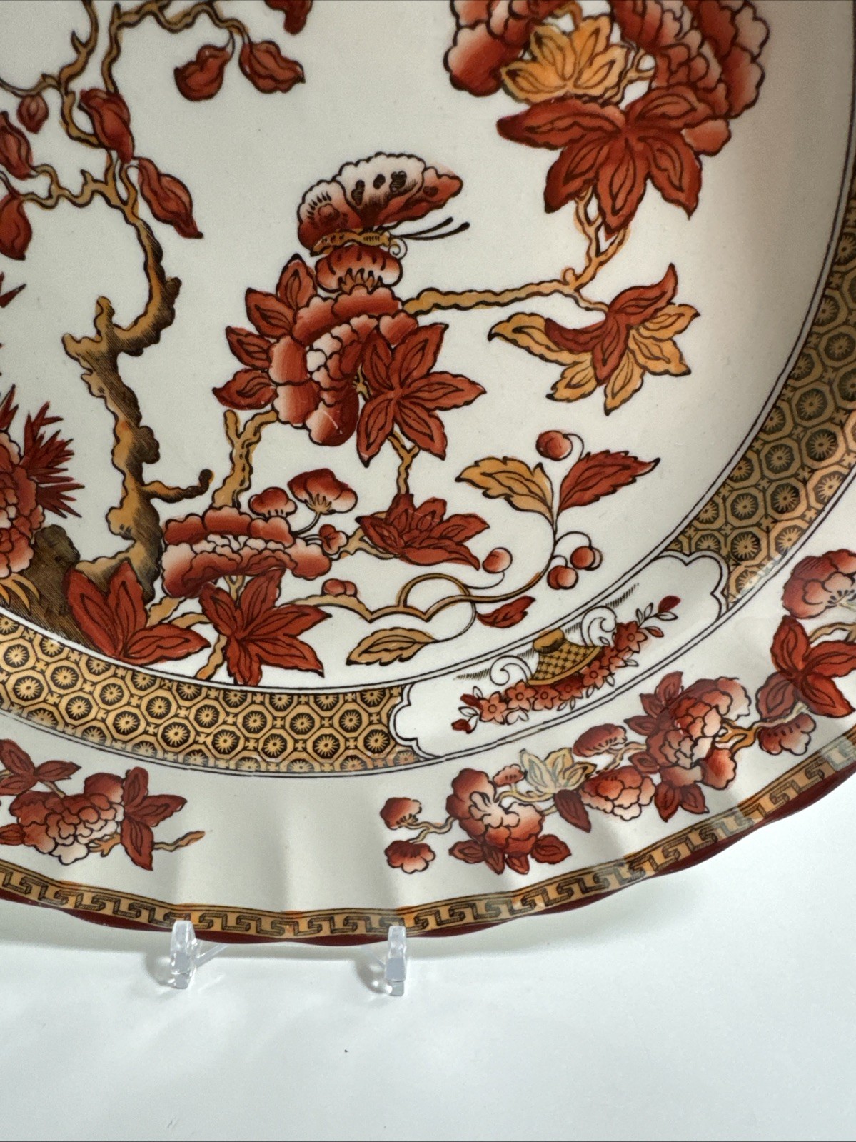 Copeland Spode Indian Tree 10 3/8″ Dinner Plate Orange Rust Scallop Trim England