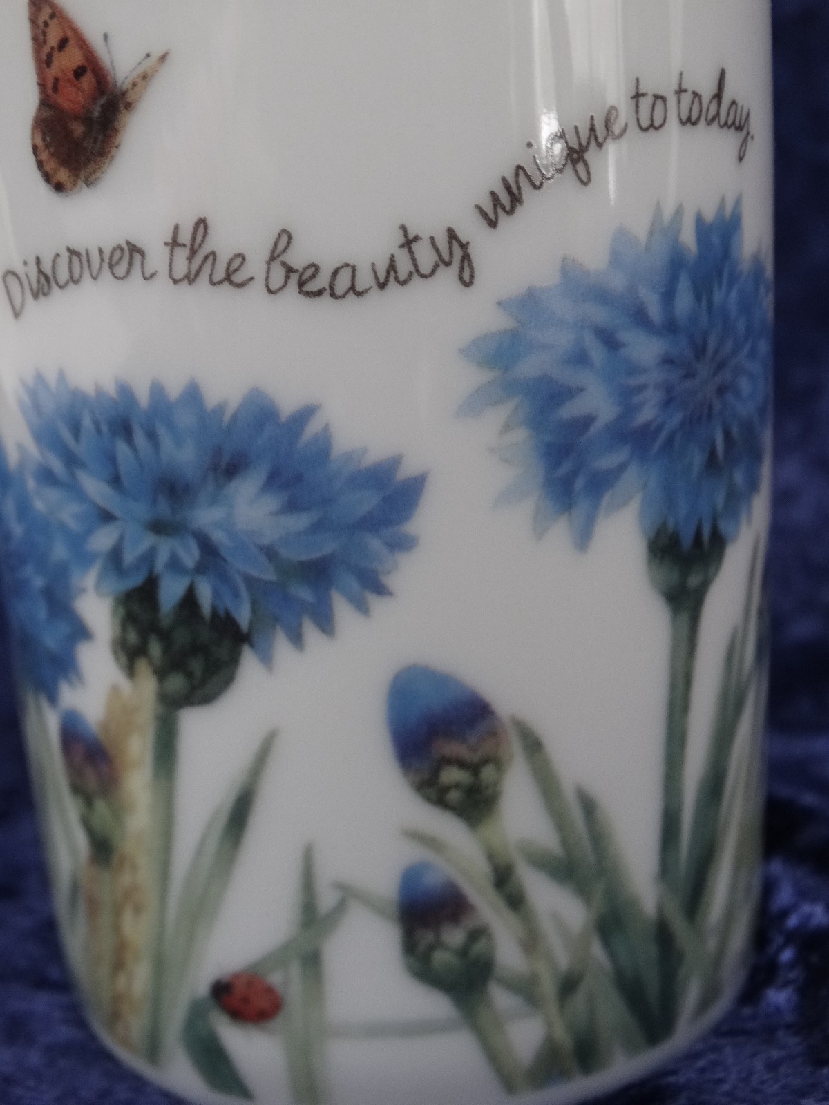 1997 Marjolein Bastin Avon Cornflowers Butterflies Ladybugs Coffee/Tea Mug 4″h