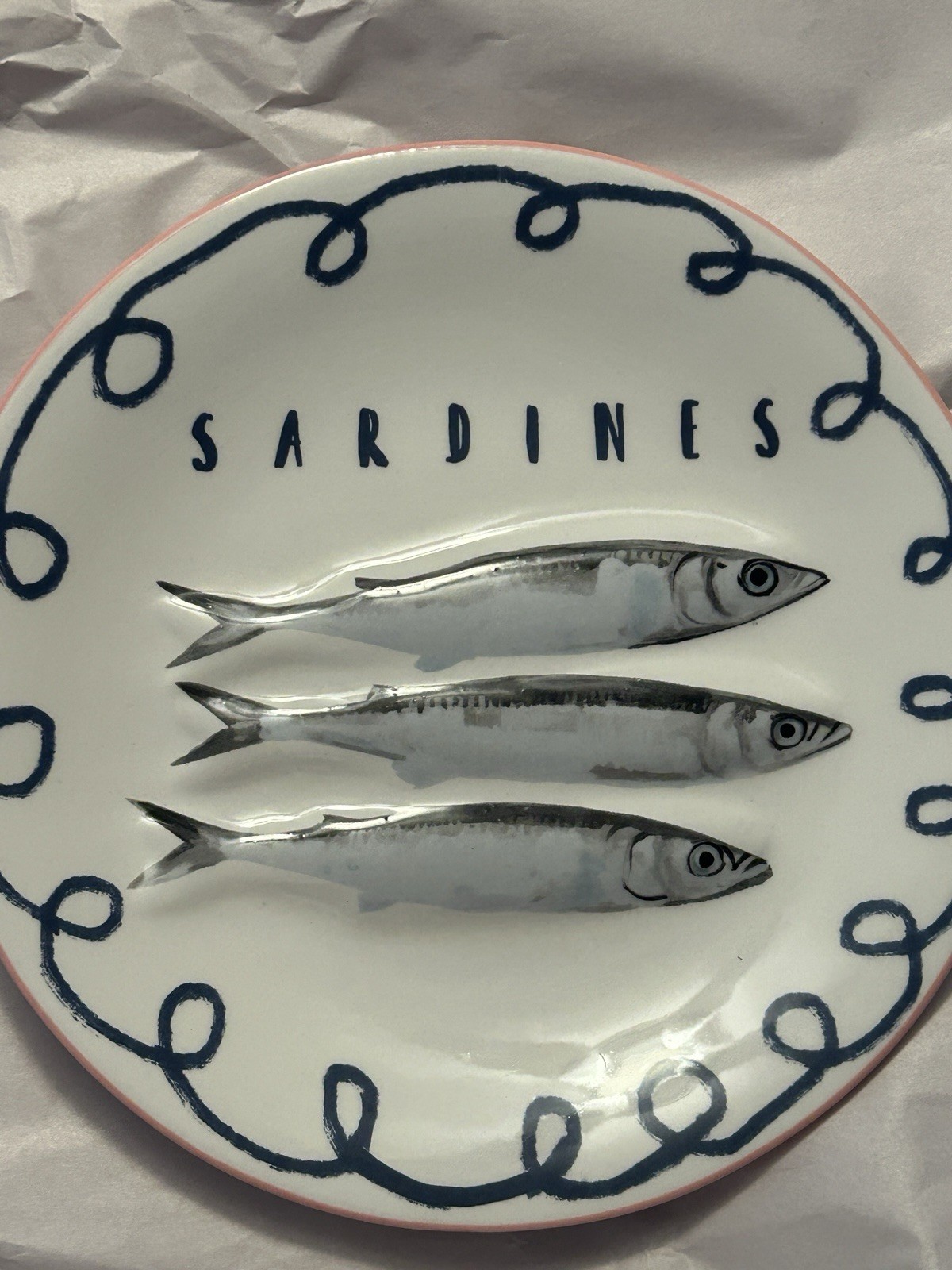 Potter’s Studio SARDINES Salad Serving Plate Nautical Fish Summer NEW