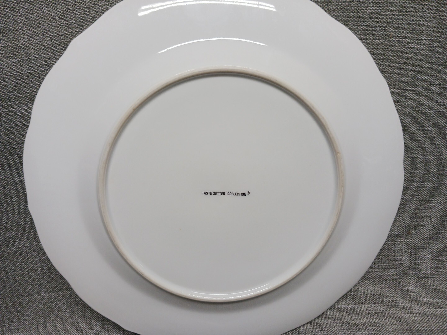 Taste Setter Collection Imperial Vine 10 3/8” Dinner Plate Vines Insects