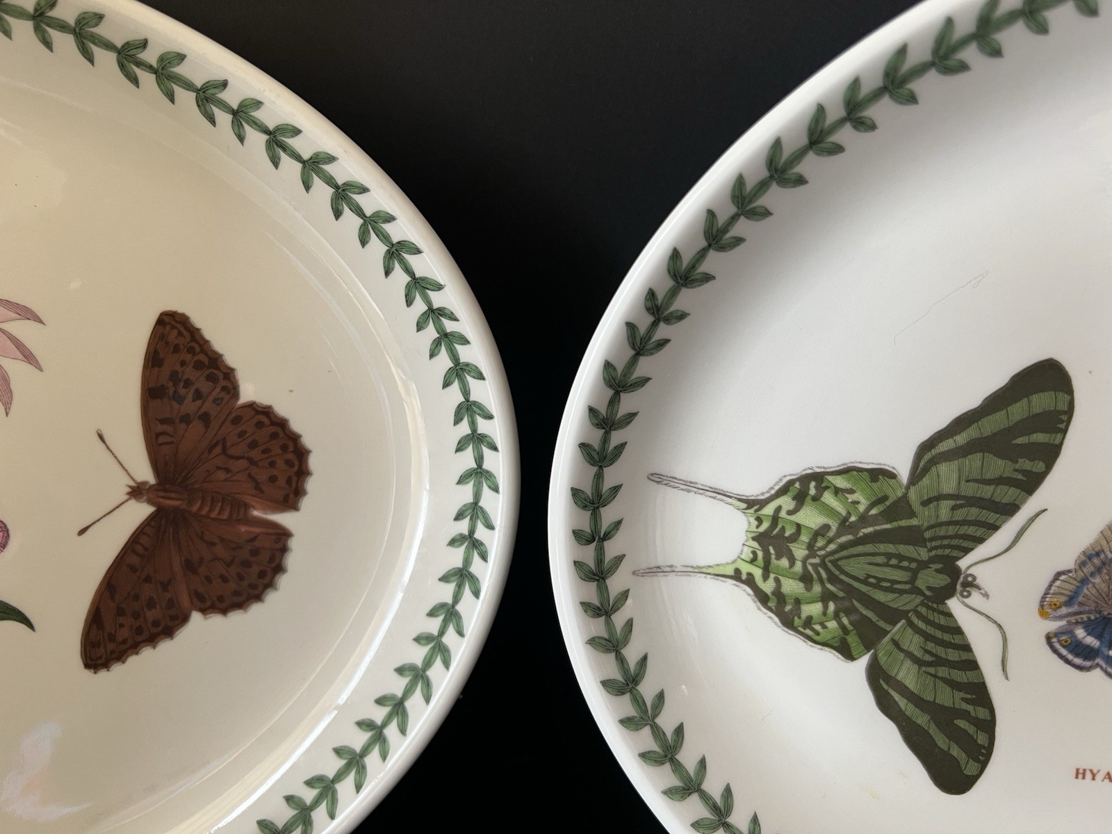 2- Portmeirion Botanic Oval Serving Platters Hyacinthus & Treasure Flower 12.75″