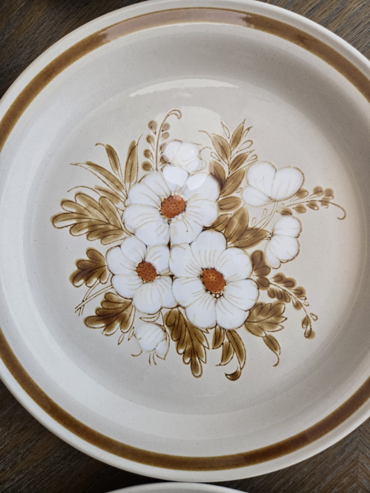 Vintage Mountain Wood Collection Stoneware Plates Bowls Dried Flowers 12pc Lot