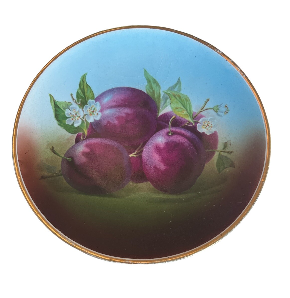 VINTAGE Ceramic Fruit Wall Hanging Plates Decorative Set Of 4 Varies Sizes