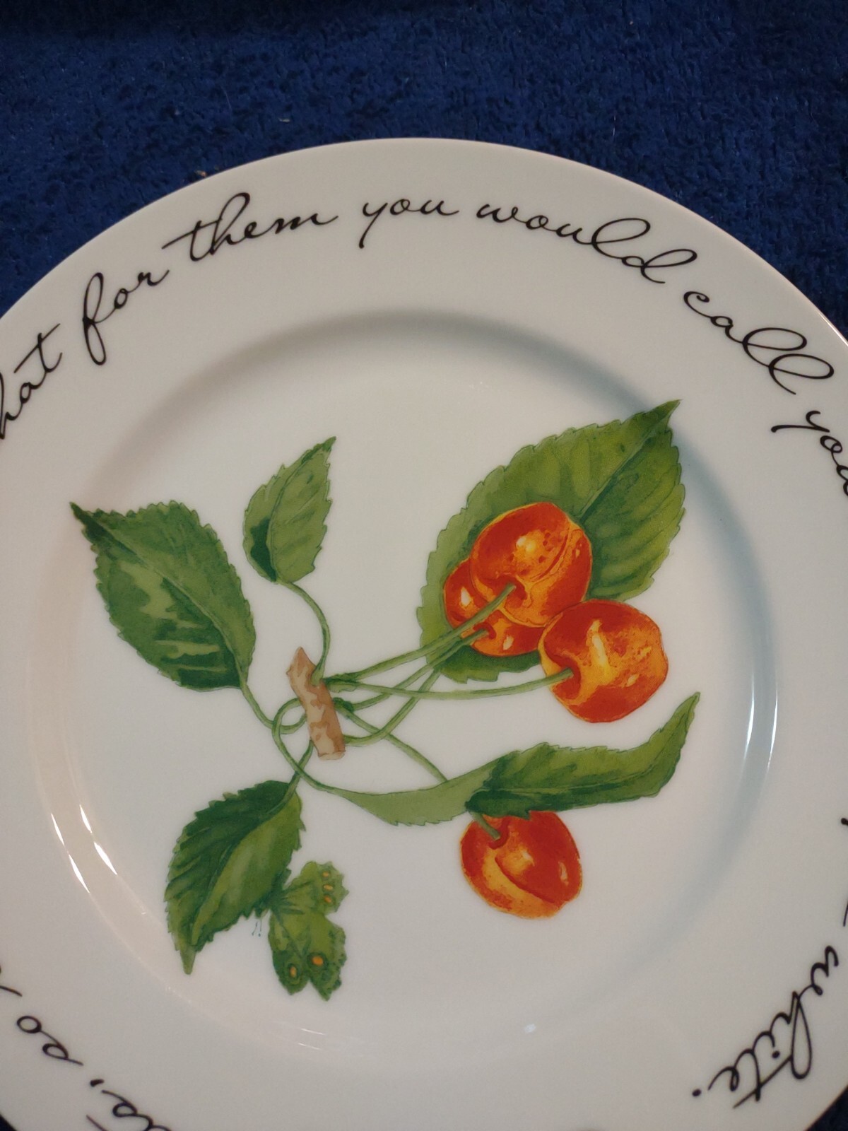 Williams-Sonoma Orchard Suite Cherries Cherry Japan 7 7/8″ Accent Salad Plate
