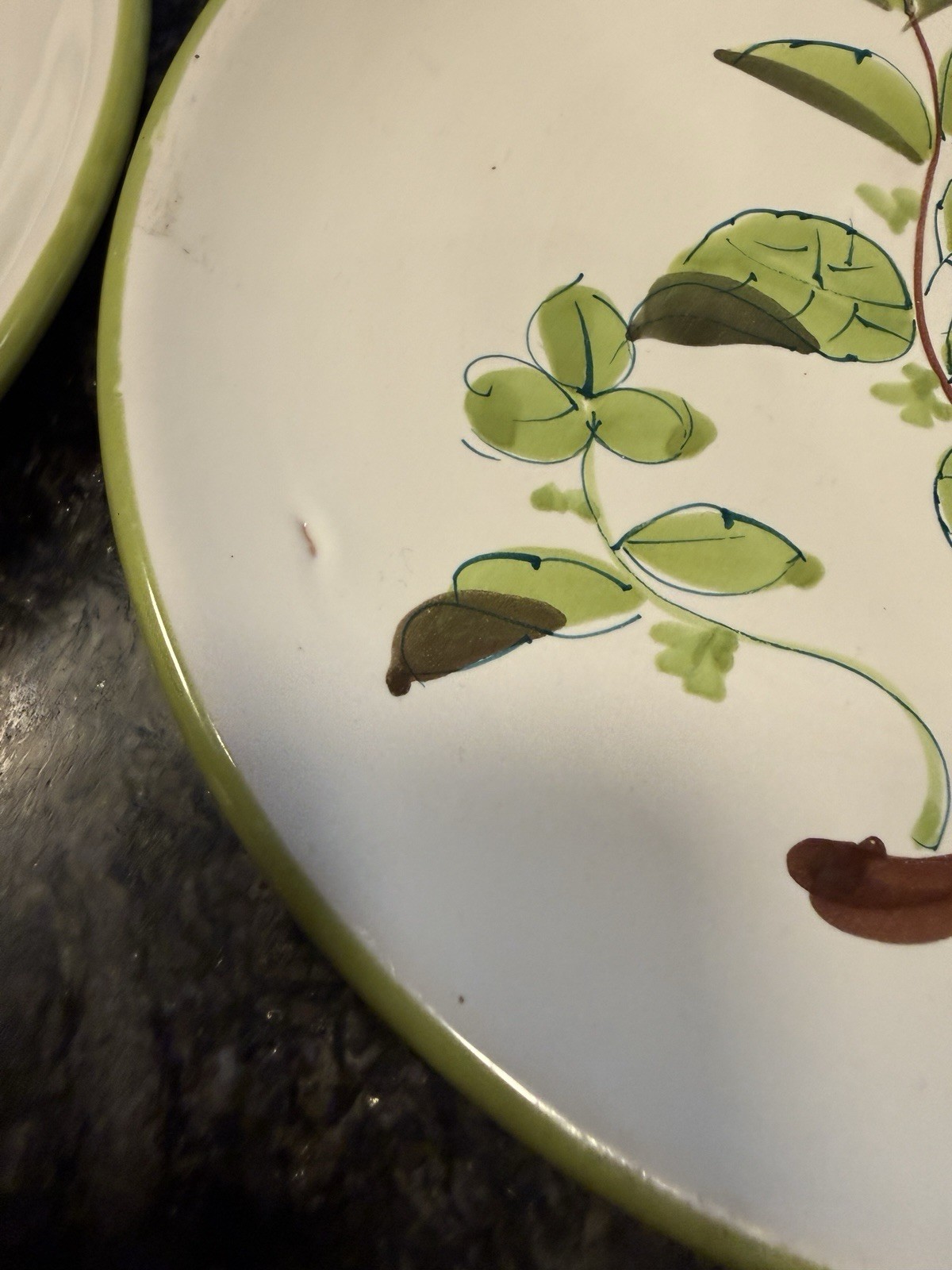 VTG La Primula Italy Decorata a Mano Botanical Salad Plates 7.75” Set of 6