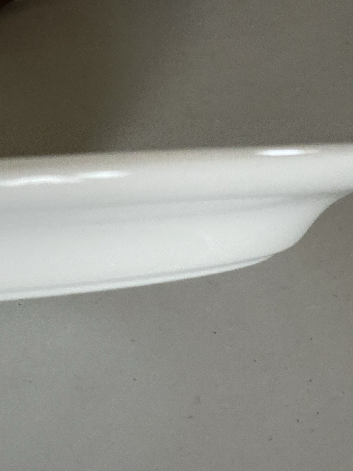PORTMEIRION BOTANIC GARDEN FINE EARTHENWARE “DAHLIA “ DINNER PLATE 10,5”