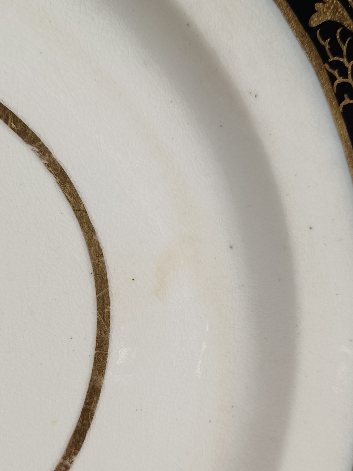 Chamberlain Worcester Gold Floral & Cobalt Border 9 1/8 Inch Plate C1800-1820 B