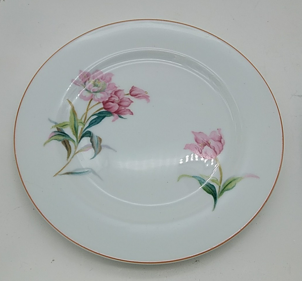 6 Noritake Pink Floral Salad or Dessert Plates White Pink Green Leaves Vintage