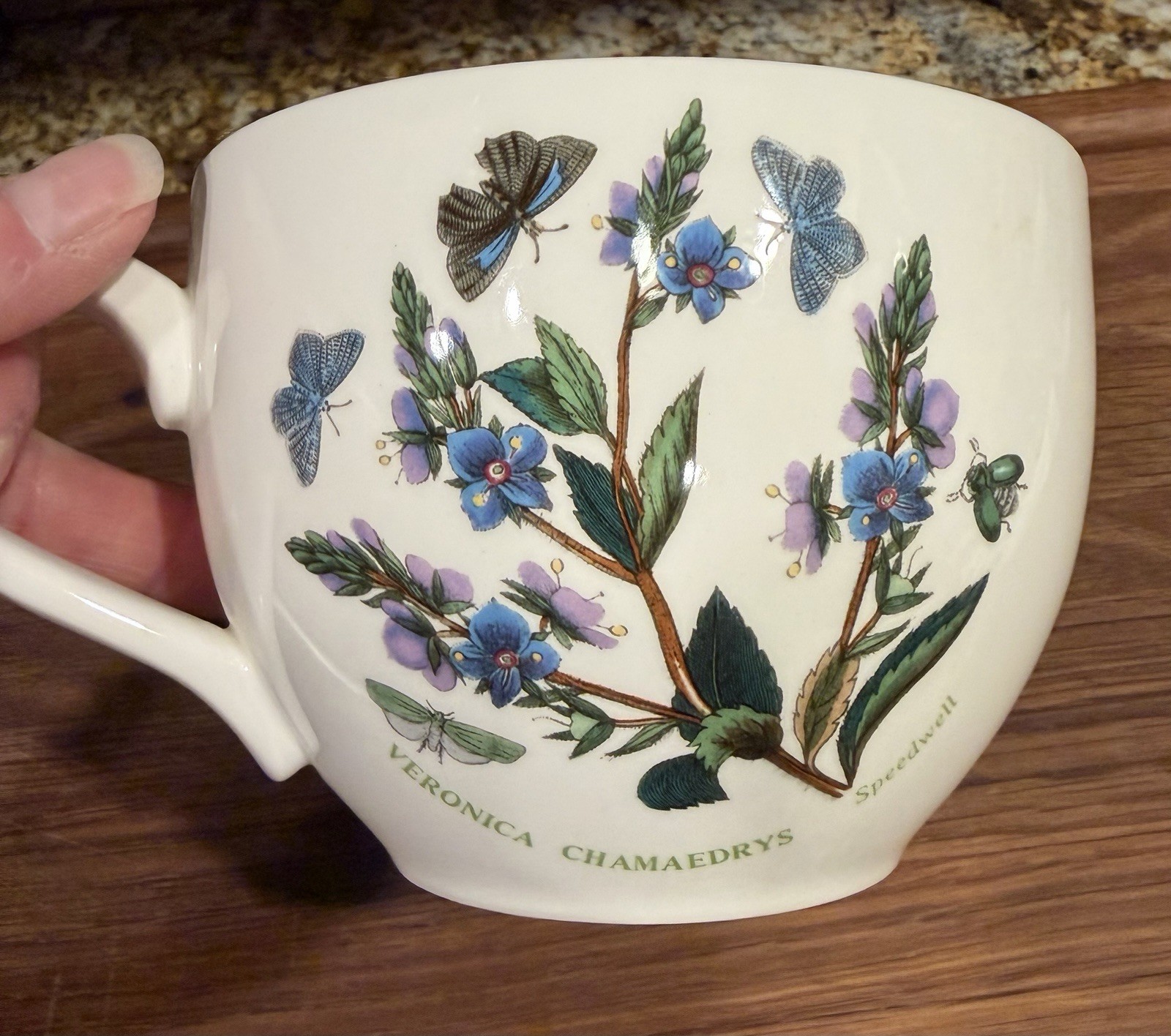 Portmeirion Botanic Garden Veronica Chamaedrys Speedwell Jumbo Coffee Tea Cup
