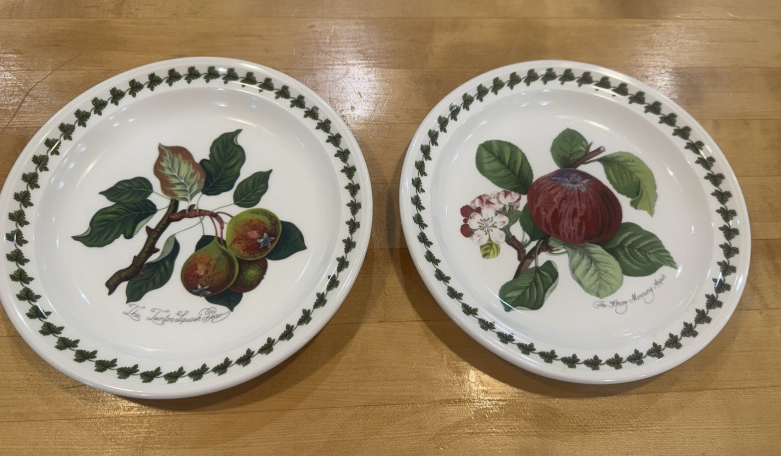 PORTMEIRION Set of 2 POMONA 8.5″ Salad Plates ~ Apple & Pear with Leaf Motif