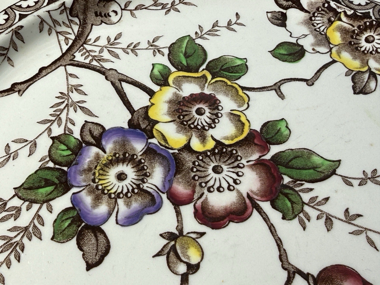 Set of 5 Alfred Meakin Medway Beautiful Dinner Plates Transferware Floral