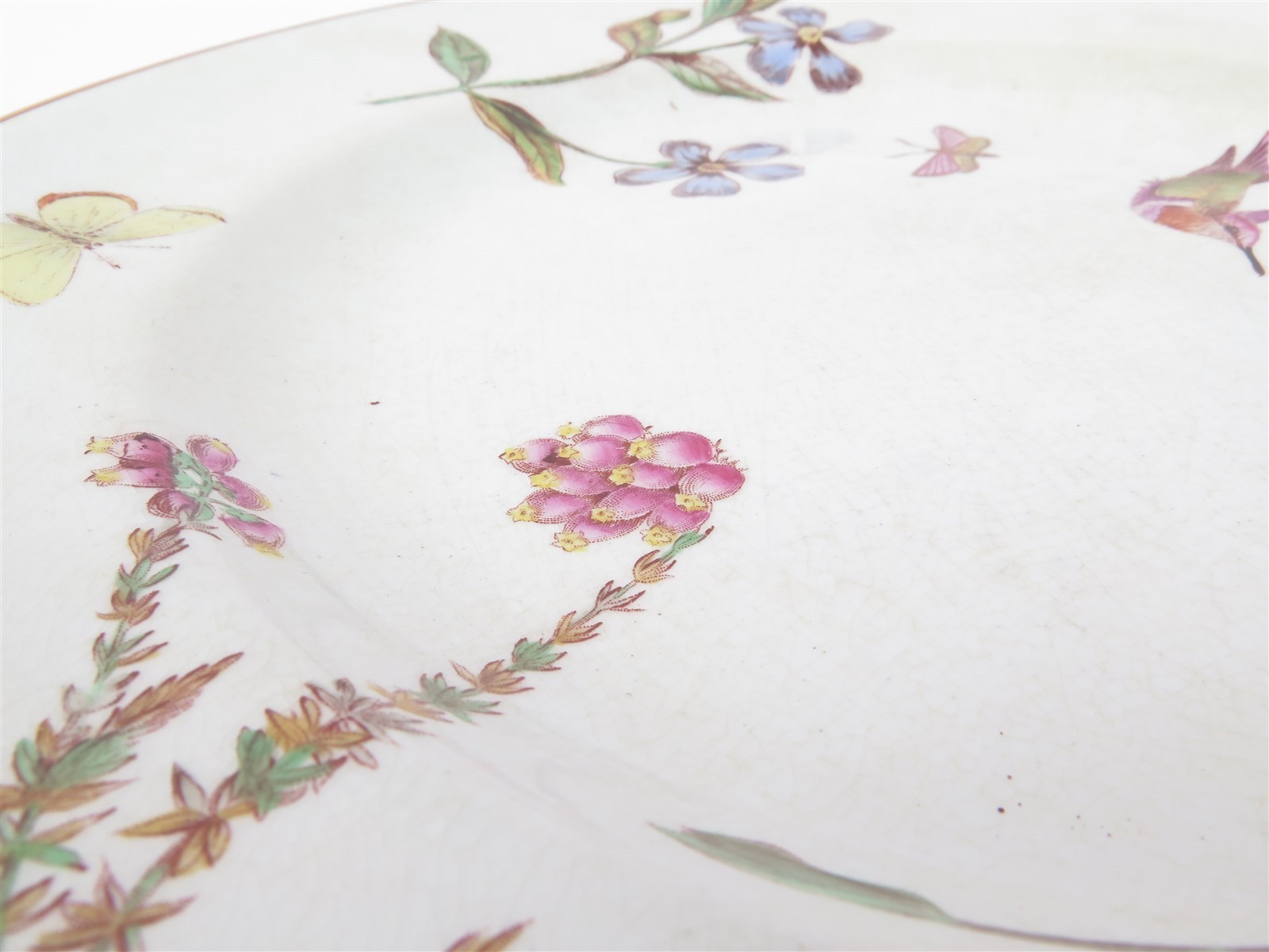 Vintage Wedgwood Creamware Hummingbird & Flora Dinner Plate 10.25″ Flower