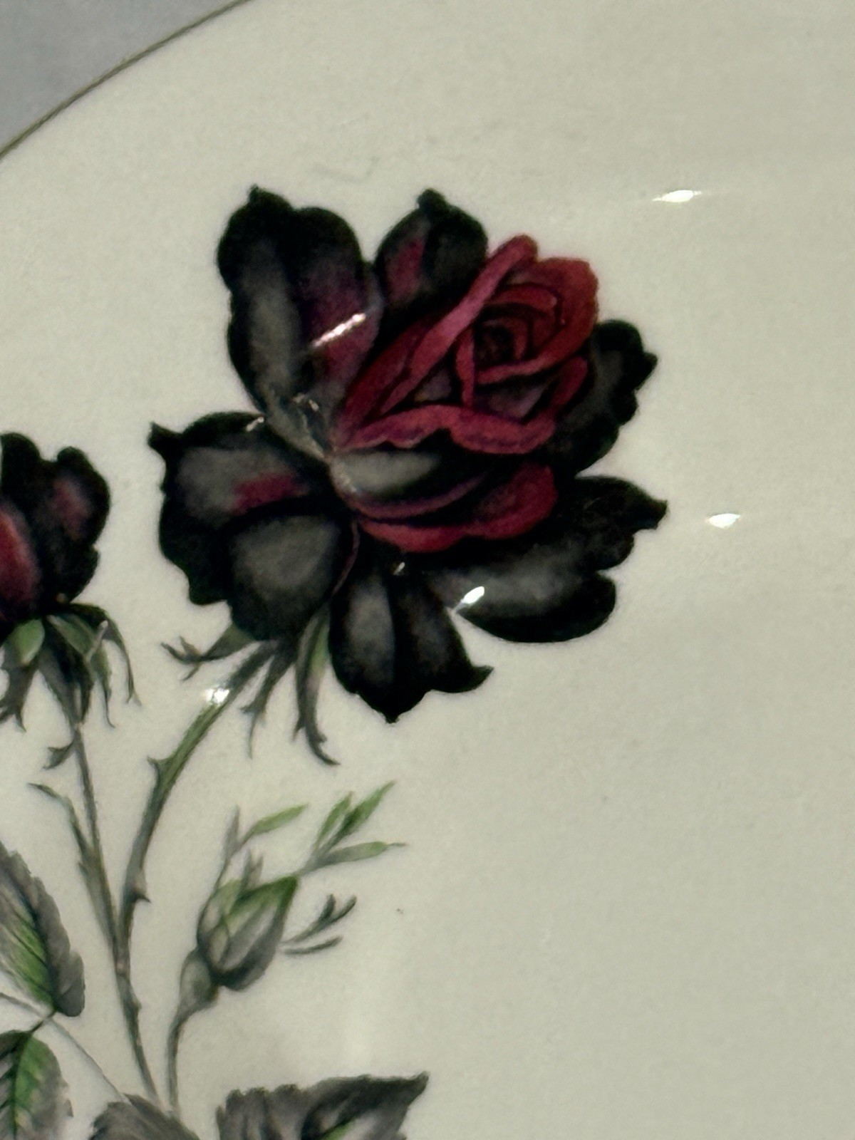 Royal Albert Black Rose Fine Bone China England 8” Rim Soup Bowls – Set of 8