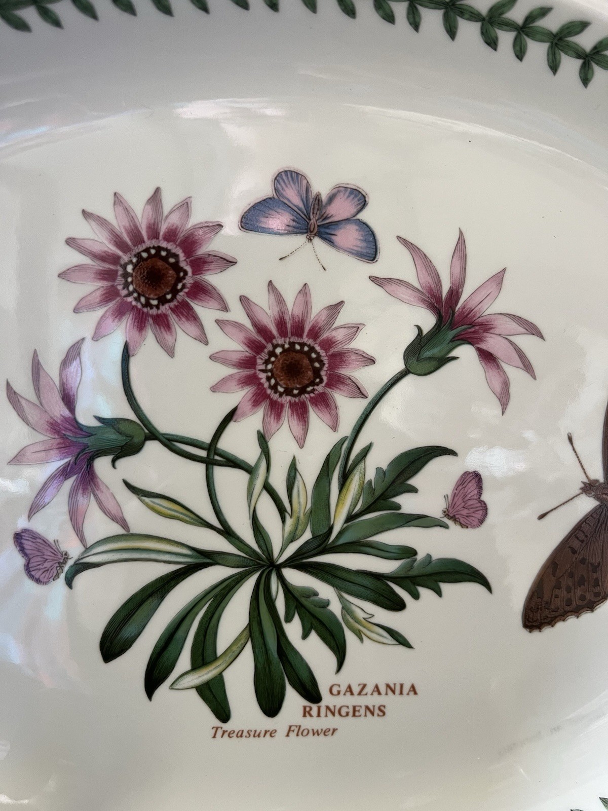 2- Portmeirion Botanic Oval Serving Platters Hyacinthus & Treasure Flower 12.75″