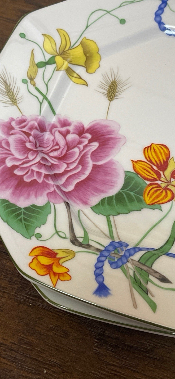 Set Of 2 Lynn Chase Flores 10” Dinner Plates W/ Blue Rope Motif,Flowers And Bee