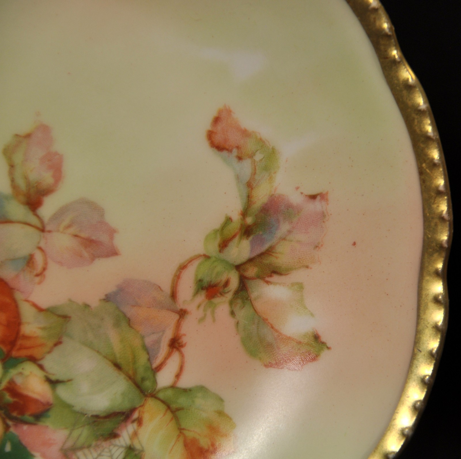 Royal Rudolstadt Beyer Bock 4 Bread Butter Plates 1905-1929 Nuts Gold Spider Web