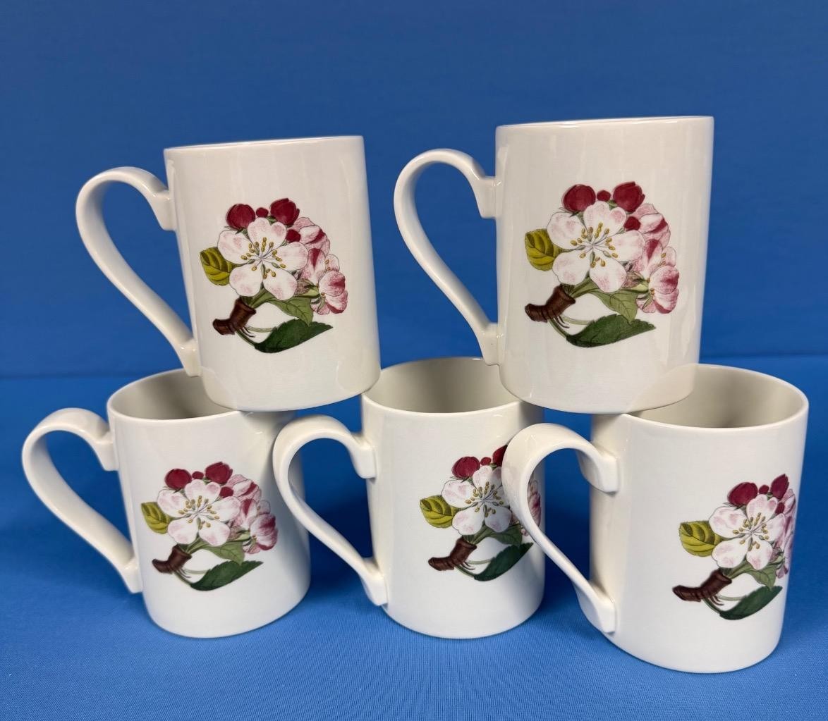 Lot of 5 Portmeirion Pomona Goddess of Fruit Coffee Mugs Cups – All Different