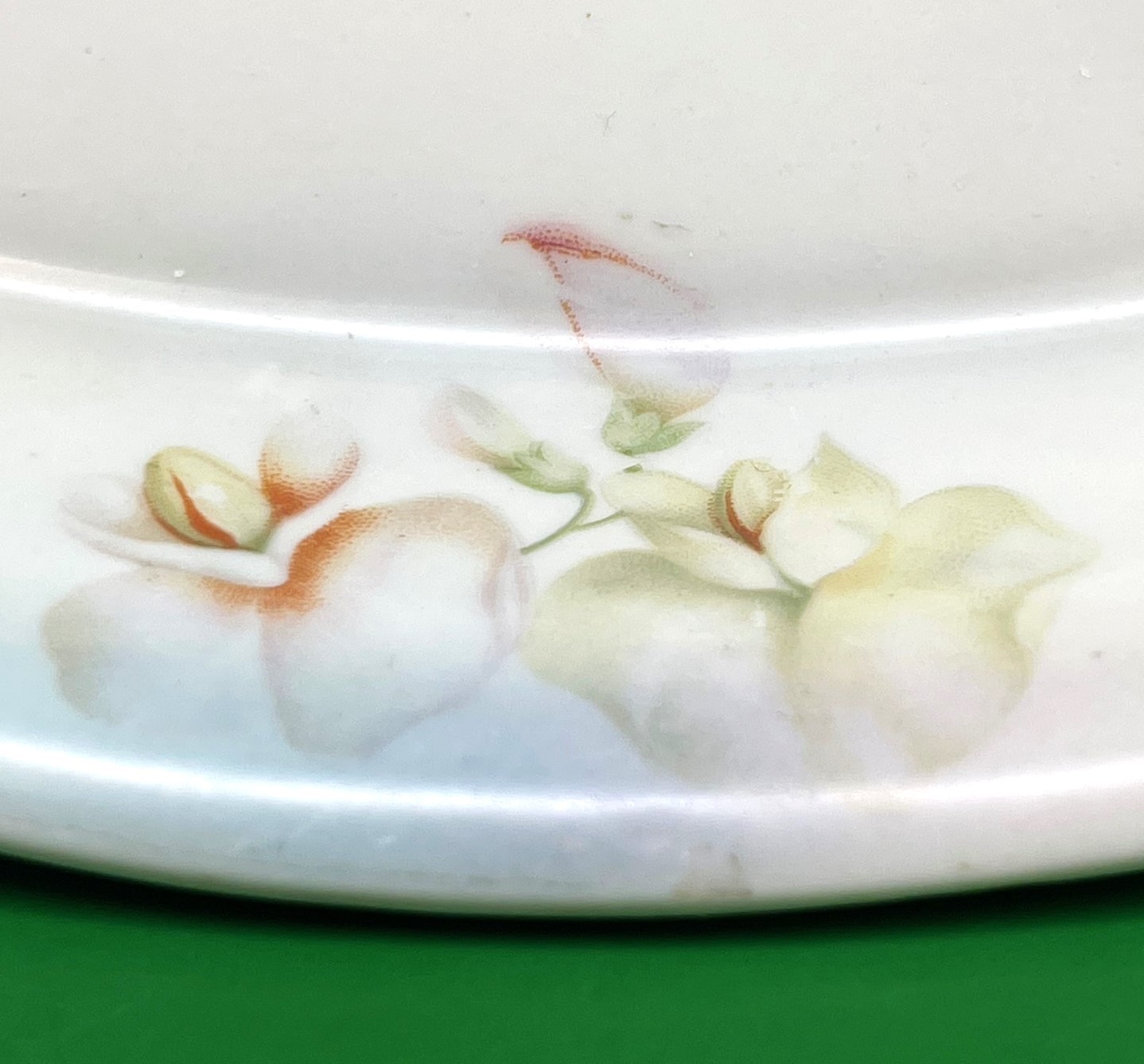 P.S.A.A. Bavaria Porzellanfabrik Schonwald Antique Oval Floral Relish Dish 1920s