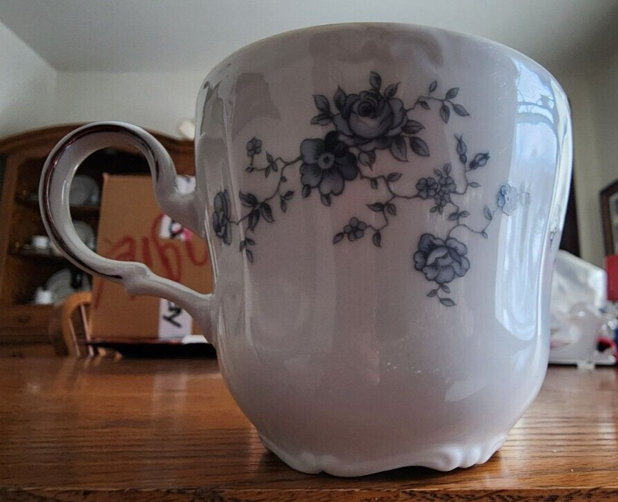 Blue Garland Cup Saucer Set Johann Haviland Porcelain White Blue Platinum !