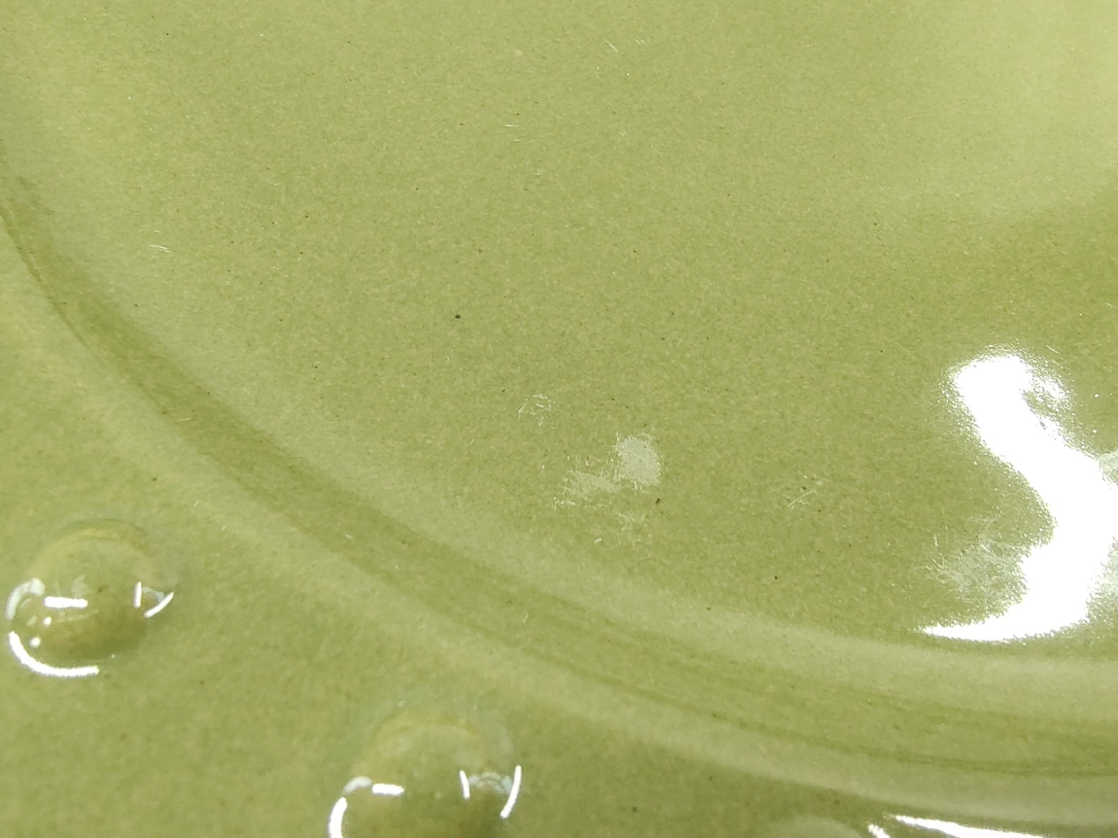 Candice Collection Dinner Plates Elegant Dining Avocado Green Embossed Lot of 4