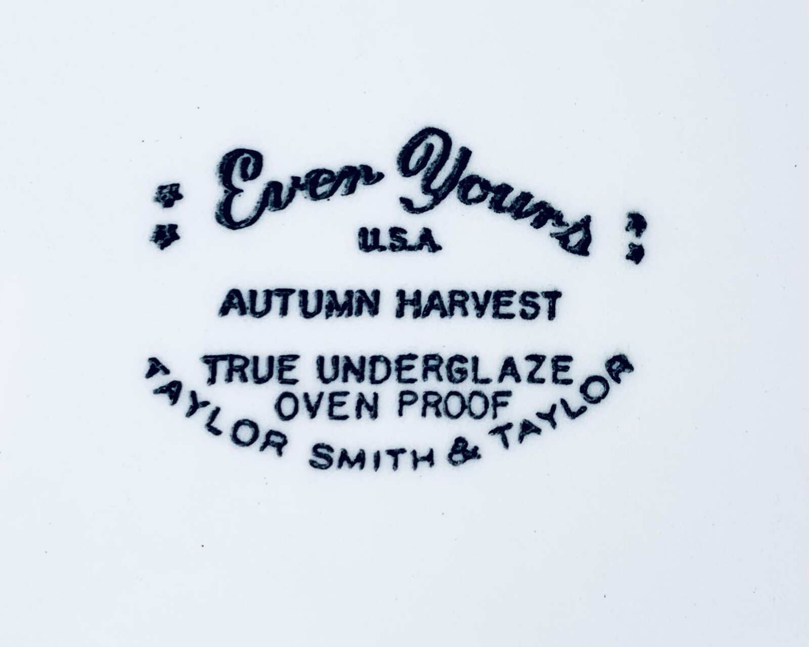 Taylor Smith & Taylor Ever Yours AUTUMN HARVEST Wheat Floral Dinner Plate