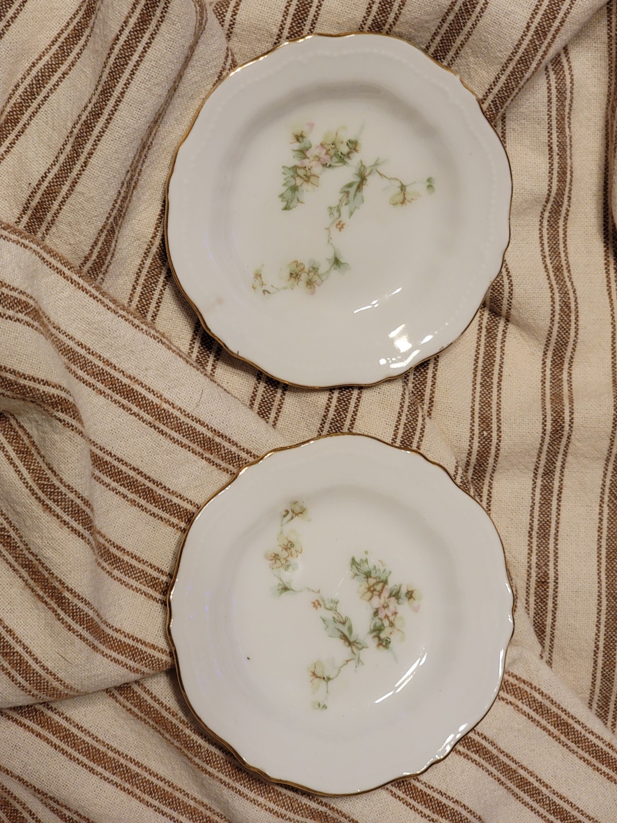 Antique Limoges And OE & G Dishes, 1893