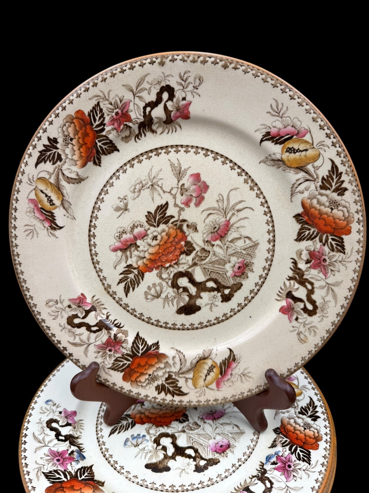 Wedgwood Bullfinch Brown Multicolor (Brown Trim) Dinner Plate 10 3/8″ Lot of 5