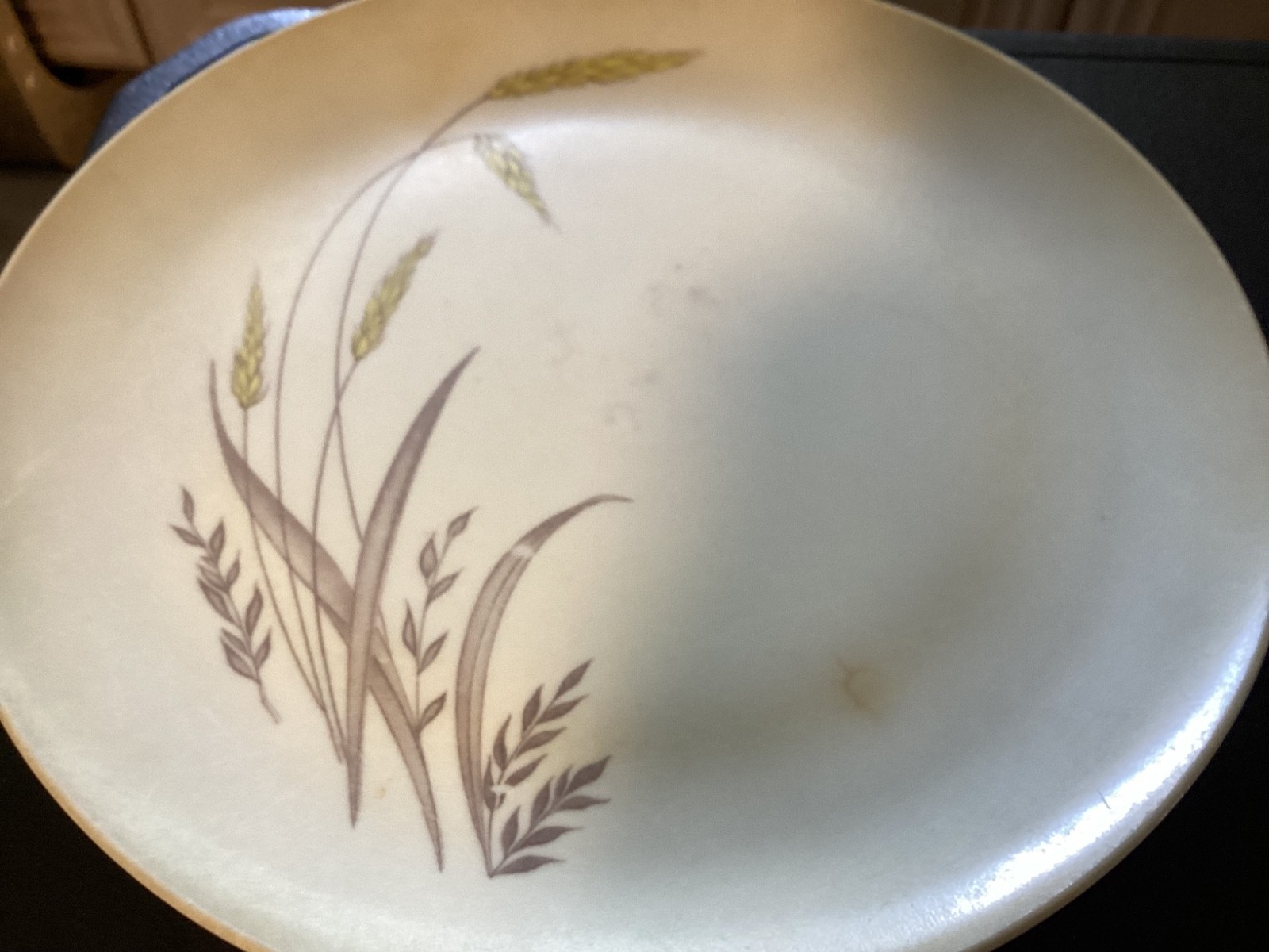 Set of (4) Wheat Pattern Plastic “Somerset” 9 7/8” Dinner Plates