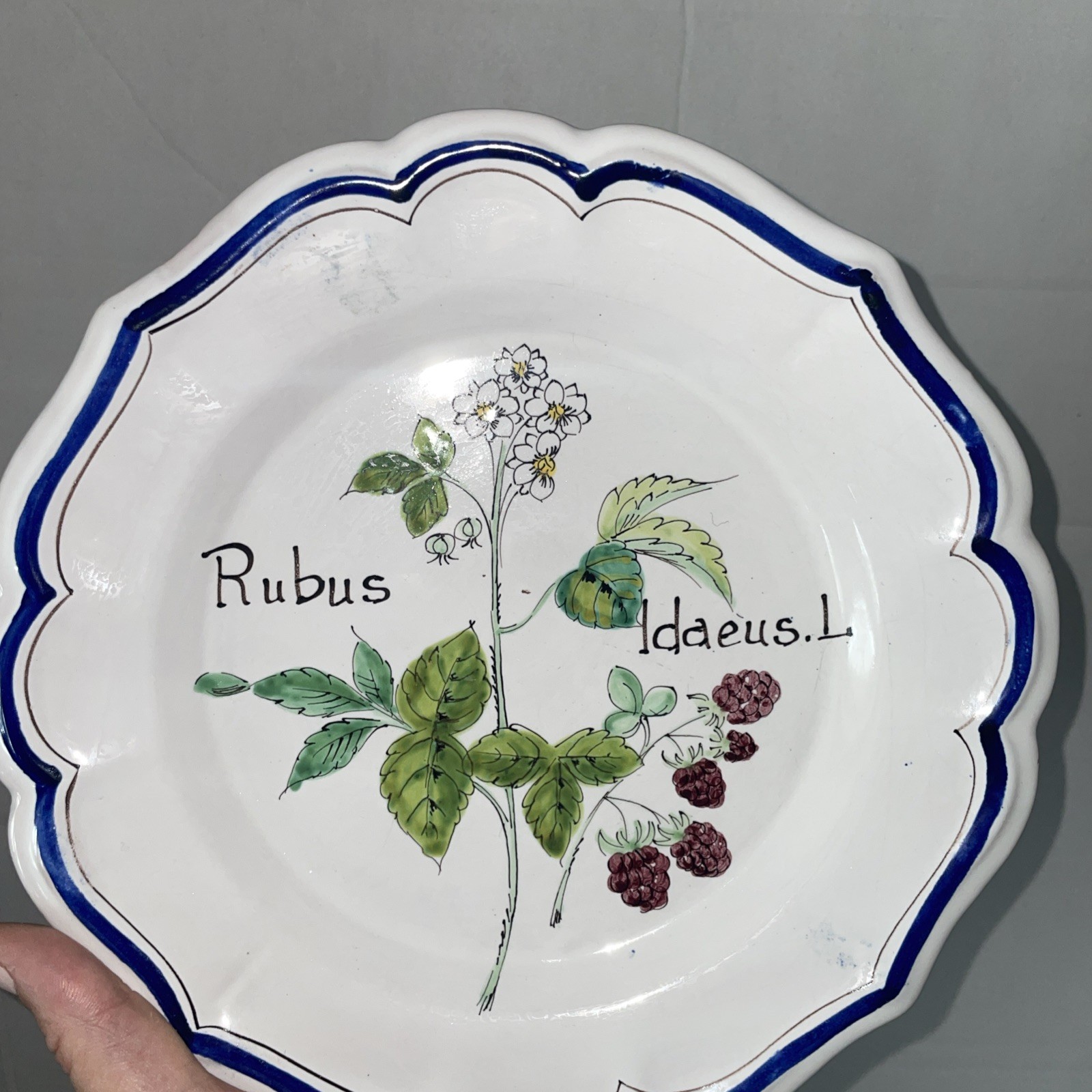 Vintage ND Dolfi Montelupo Italy Floral Wall Plates Set of 2