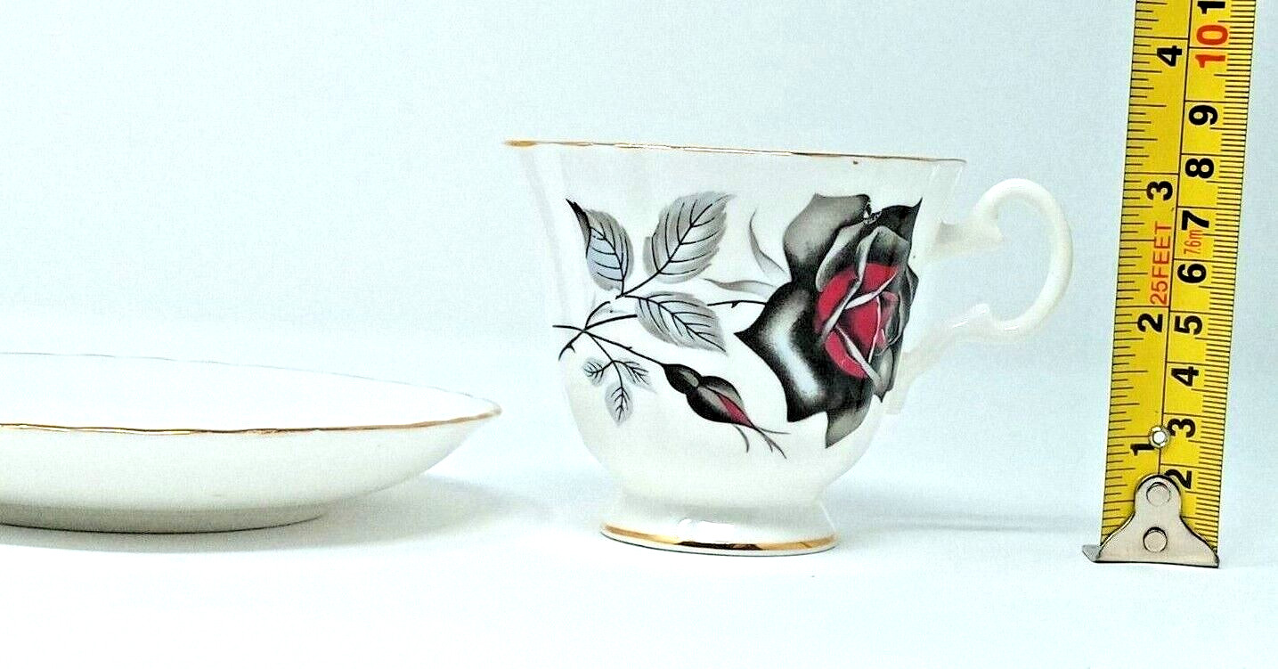 Royal Grafton Tea or Coffee Cup Saucer Black Rose Set Bone China Made in England