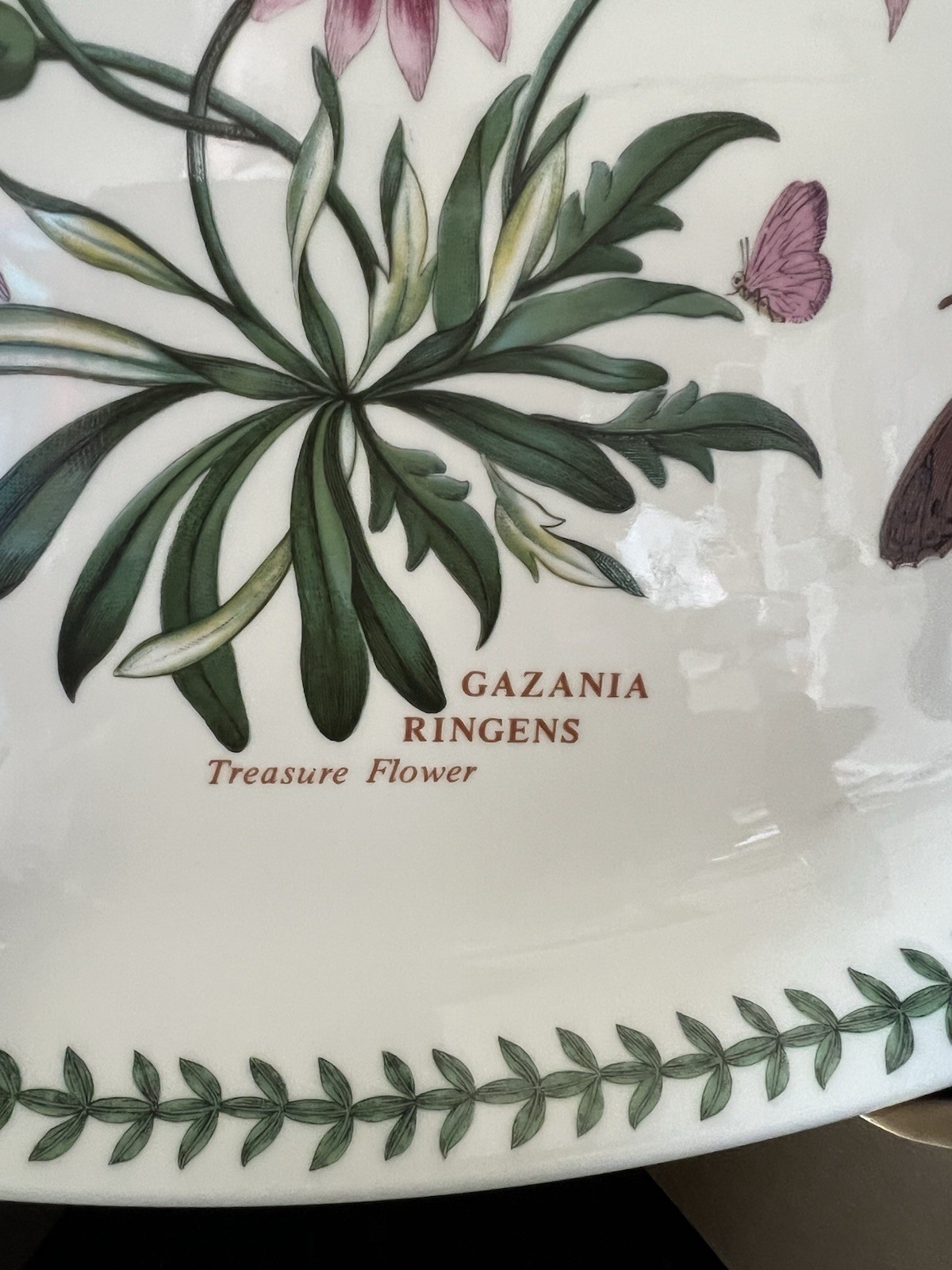 2- Portmeirion Botanic Oval Serving Platters Hyacinthus & Treasure Flower 12.75″