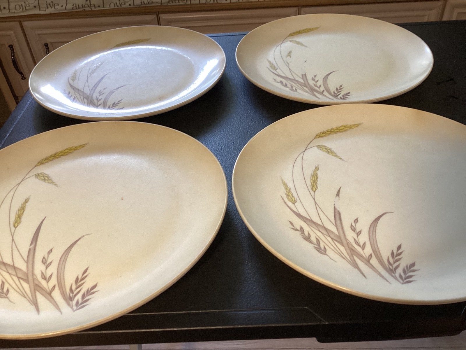 Set of (4) Wheat Pattern Plastic “Somerset” 9 7/8” Dinner Plates