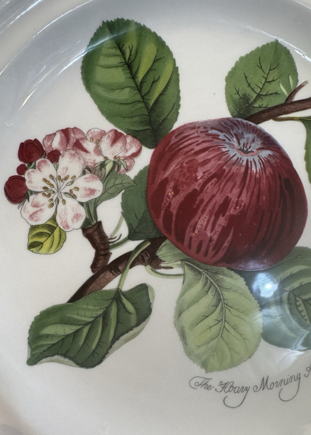 Portmeirion Pomona Set of 2 Dinner Plates – Apple and Peach – 10.5″