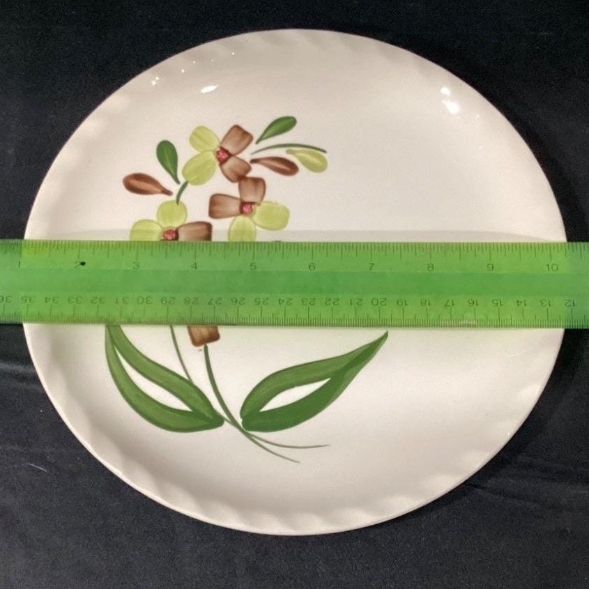 Blue Ridge Southern Pottery Dinner Plate, Vintage Hand-Painted Floral Dinnerware