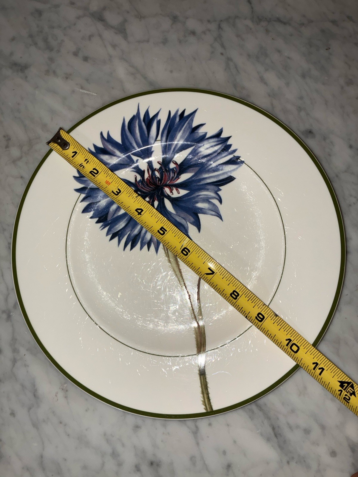 Villeroy Boch FLORA Dinner Plate 10.5″ Germany Green Trim Le Bleuet Flower