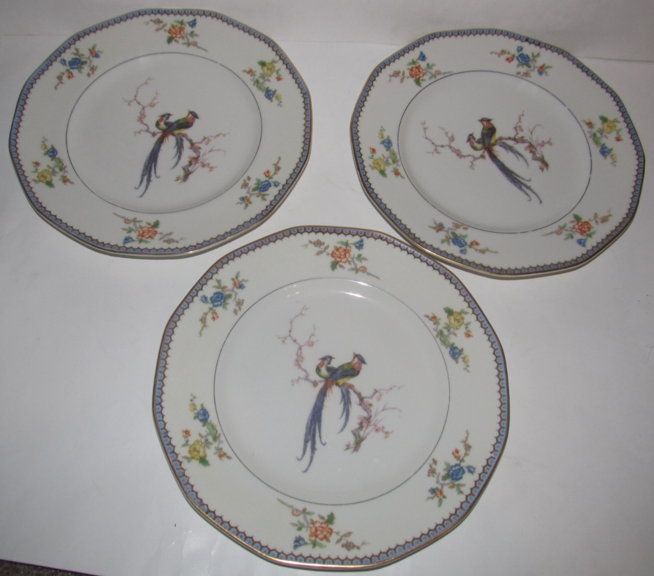 THEODORE HAVILAND Limoges France CHAMBORD Bird of Paradise Dinner Plates (GBP)