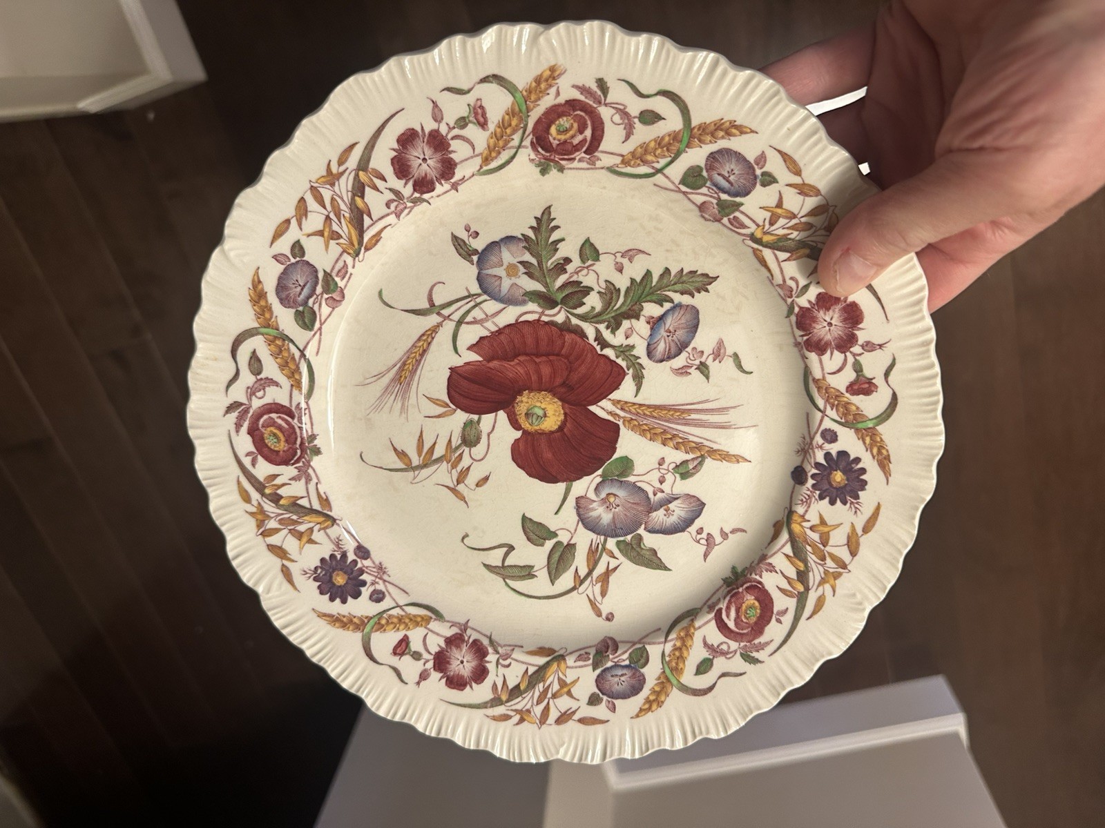 Cornflower Wedgwood Dinner Plates 10 1/4″ (set of 10)