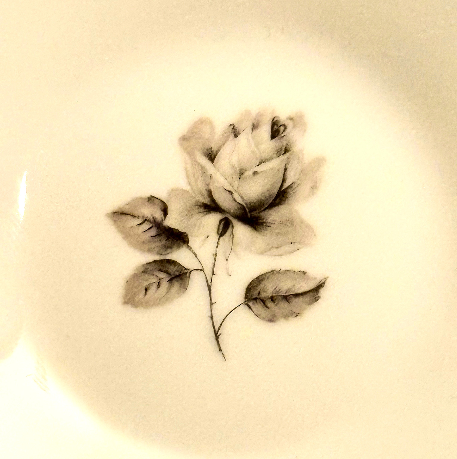 Towne Fine China Moonlight Rose Bavaria Germany Porcelain Dessert Fruit Bowl VTG