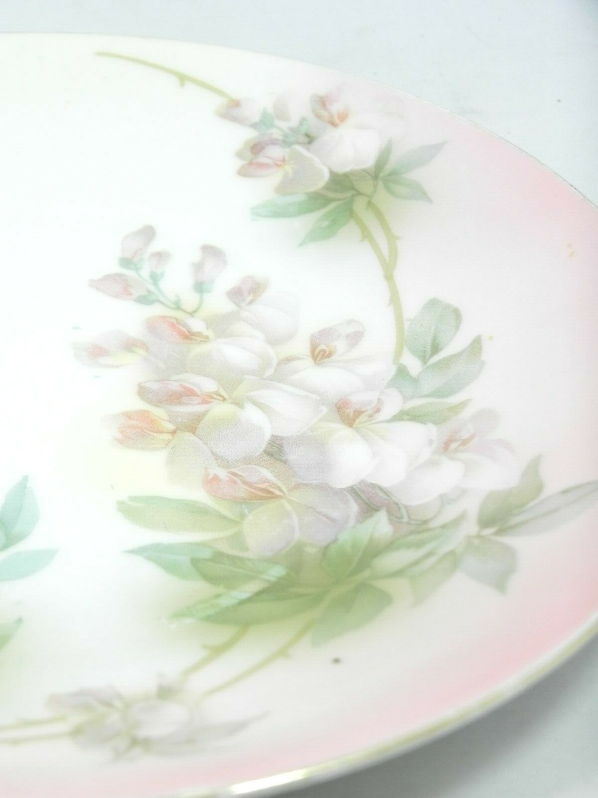 RS GERMANY – PORCELAIN – PLATE – FLORAL – BONE CHINA