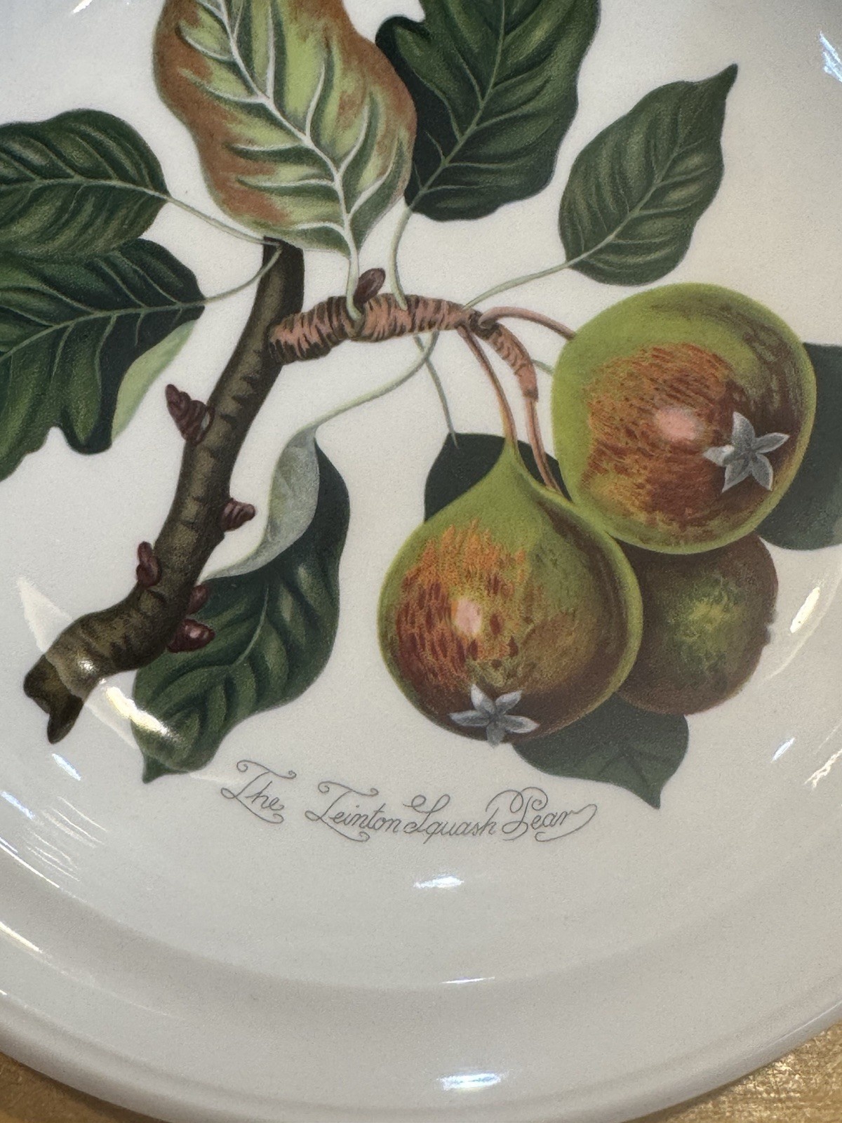 Set of 2 Portmeirion Pomona 8.5” Rimmed Soup / Pasta Bowls Royal George & Pear